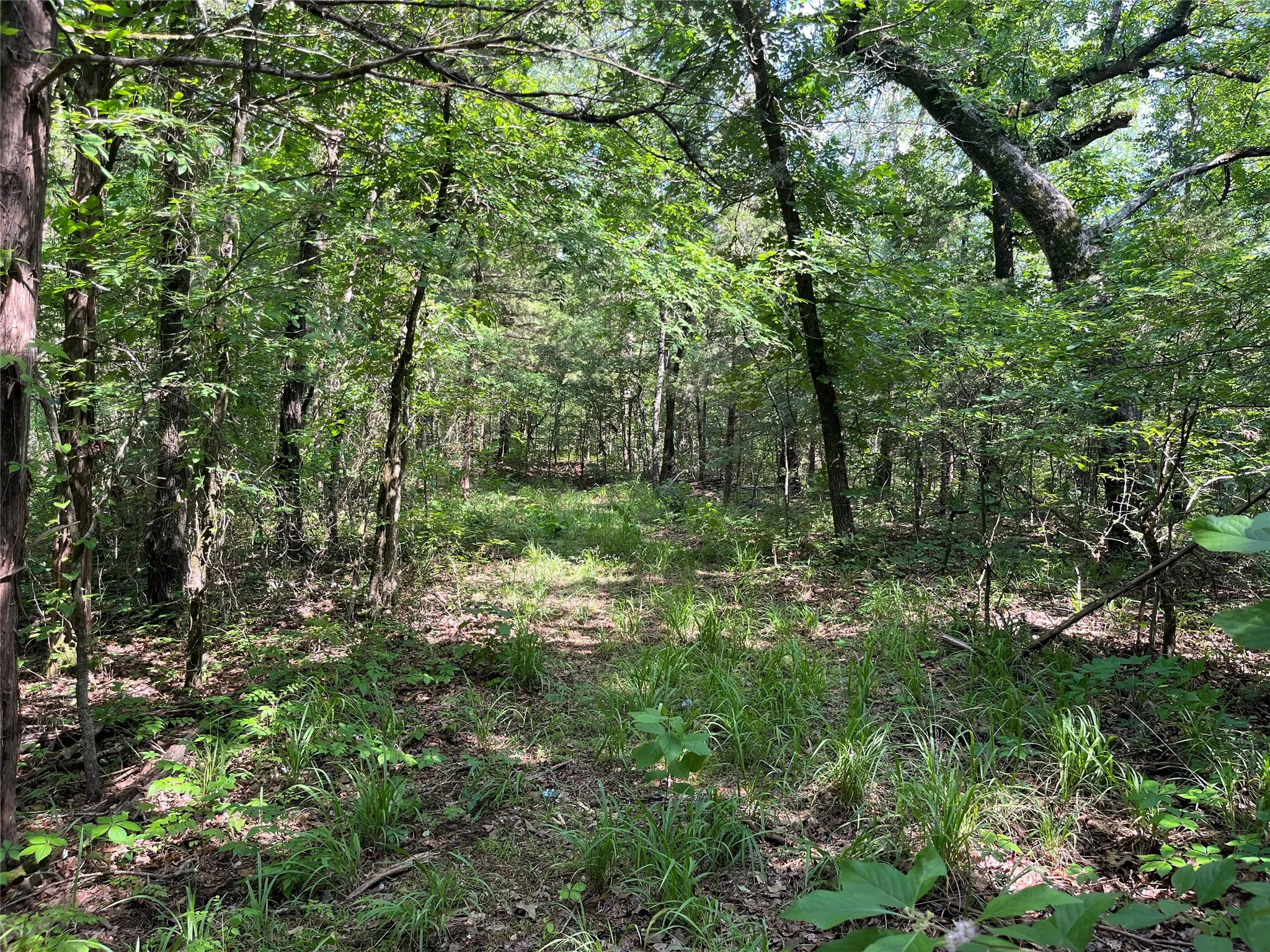 Unimproved Land For Sale in Fannin County , 9999 Fm 409, Monkstown, Texas 75446, 0, 0, Garage spaces, 0 Sqft, built in 0, mls#21299482, Real Estate Agent in Monkstown, Homes For Sale in Fannin county, Homes For Sale in Monkstown, Realtor in Monkstown Texas, Real Estate Brokerage Independent Realty Texas, Luminita Cordes Realtor