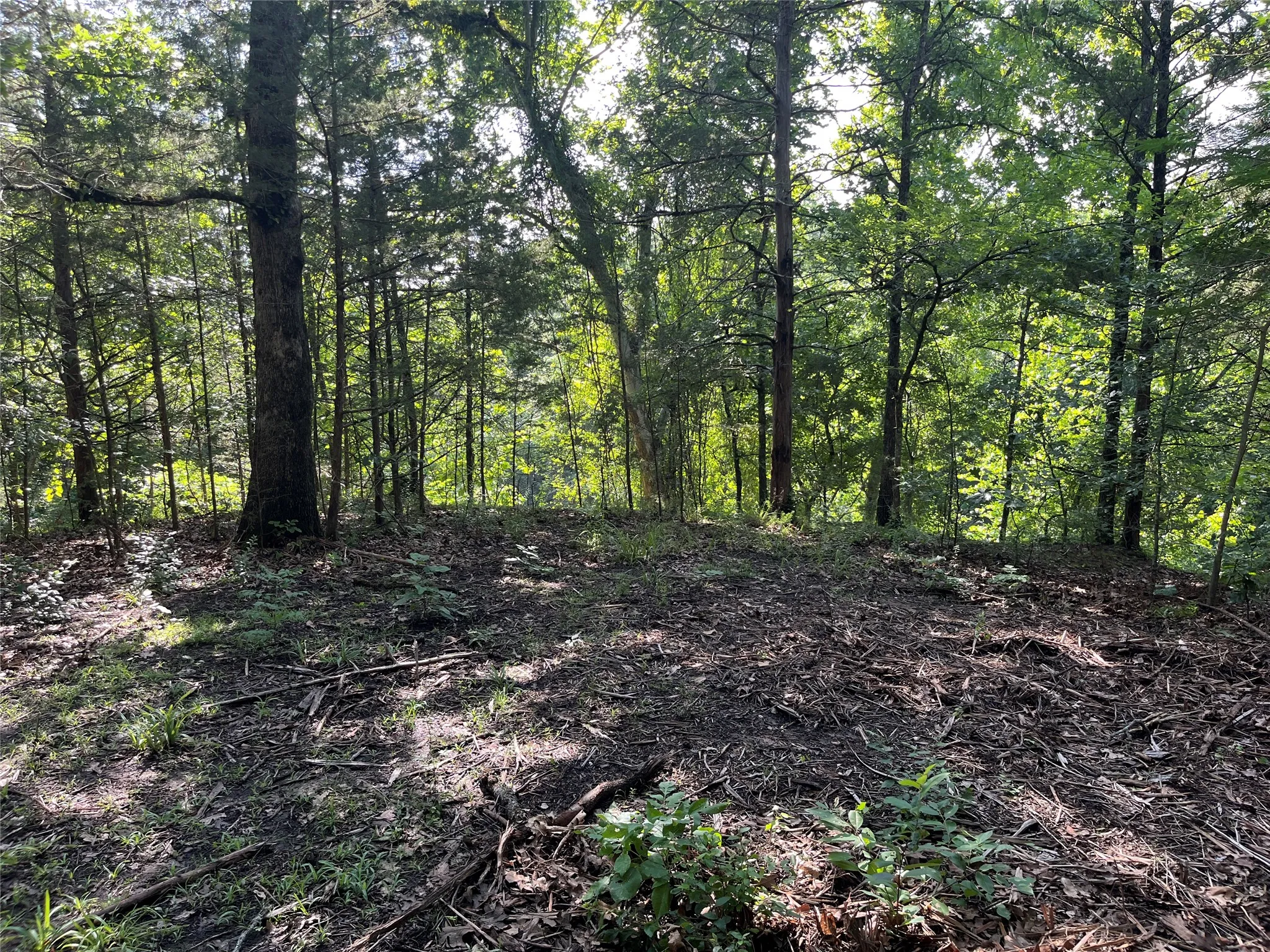 Unimproved Land For Sale in Fannin County , 9999 Fm 409, Monkstown, Texas 75446, 0, 0, Garage spaces, 0 Sqft, built in 0, mls#21299482, Real Estate Agent in Monkstown, Homes For Sale in Fannin county, Homes For Sale in Monkstown, Realtor in Monkstown Texas, Real Estate Brokerage Independent Realty Texas, Luminita Cordes Realtor