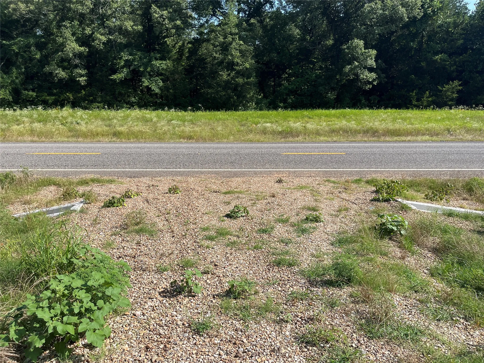 Unimproved Land For Sale in Fannin County , 9999 Fm 409, Monkstown, Texas 75446, 0, 0, Garage spaces, 0 Sqft, built in 0, mls#21299482, Real Estate Agent in Monkstown, Homes For Sale in Fannin county, Homes For Sale in Monkstown, Realtor in Monkstown Texas, Real Estate Brokerage Independent Realty Texas, Luminita Cordes Realtor