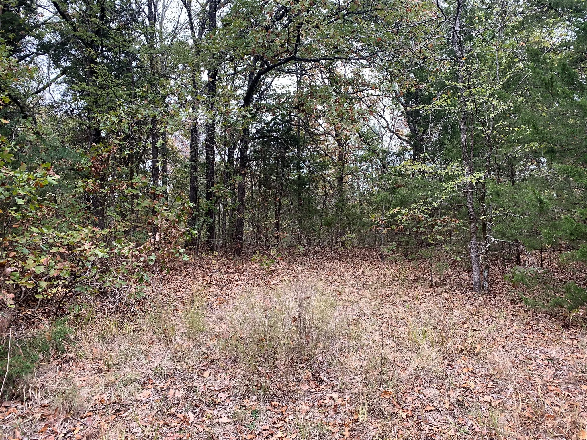 Unimproved Land For Sale in Fannin County , 9999 Fm 409, Monkstown, Texas 75446, 0, 0, Garage spaces, 0 Sqft, built in 0, mls#21299482, Real Estate Agent in Monkstown, Homes For Sale in Fannin county, Homes For Sale in Monkstown, Realtor in Monkstown Texas, Real Estate Brokerage Independent Realty Texas, Luminita Cordes Realtor