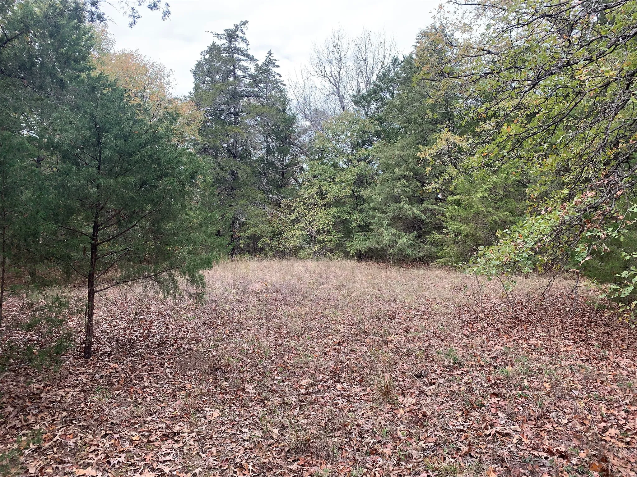 Unimproved Land For Sale in Fannin County , 9999 Fm 409, Monkstown, Texas 75446, 0, 0, Garage spaces, 0 Sqft, built in 0, mls#21299482, Real Estate Agent in Monkstown, Homes For Sale in Fannin county, Homes For Sale in Monkstown, Realtor in Monkstown Texas, Real Estate Brokerage Independent Realty Texas, Luminita Cordes Realtor