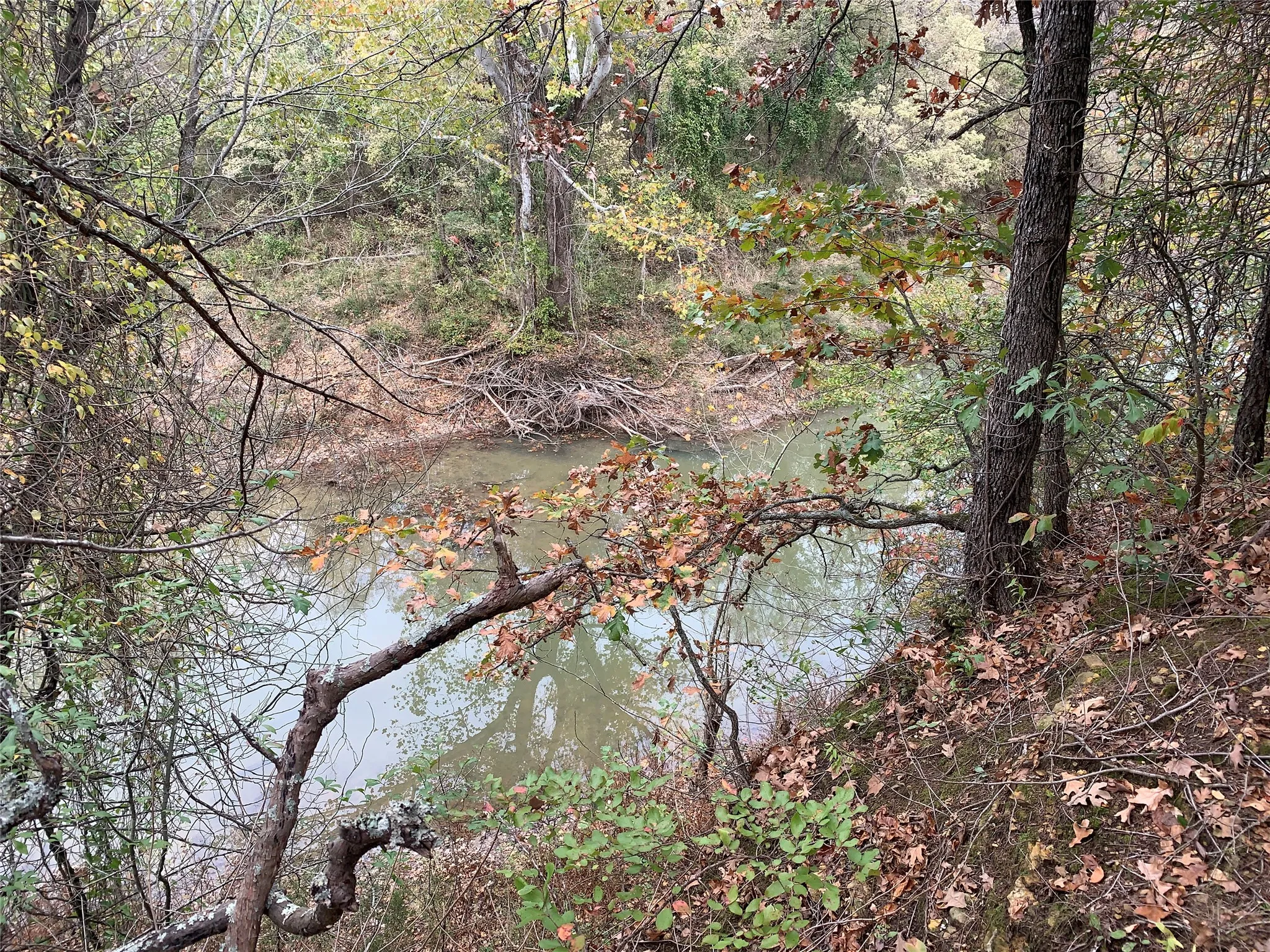 Unimproved Land For Sale in Fannin County , 9999 Fm 409, Monkstown, Texas 75446, 0, 0, Garage spaces, 0 Sqft, built in 0, mls#21299482, Real Estate Agent in Monkstown, Homes For Sale in Fannin county, Homes For Sale in Monkstown, Realtor in Monkstown Texas, Real Estate Brokerage Independent Realty Texas, Luminita Cordes Realtor
