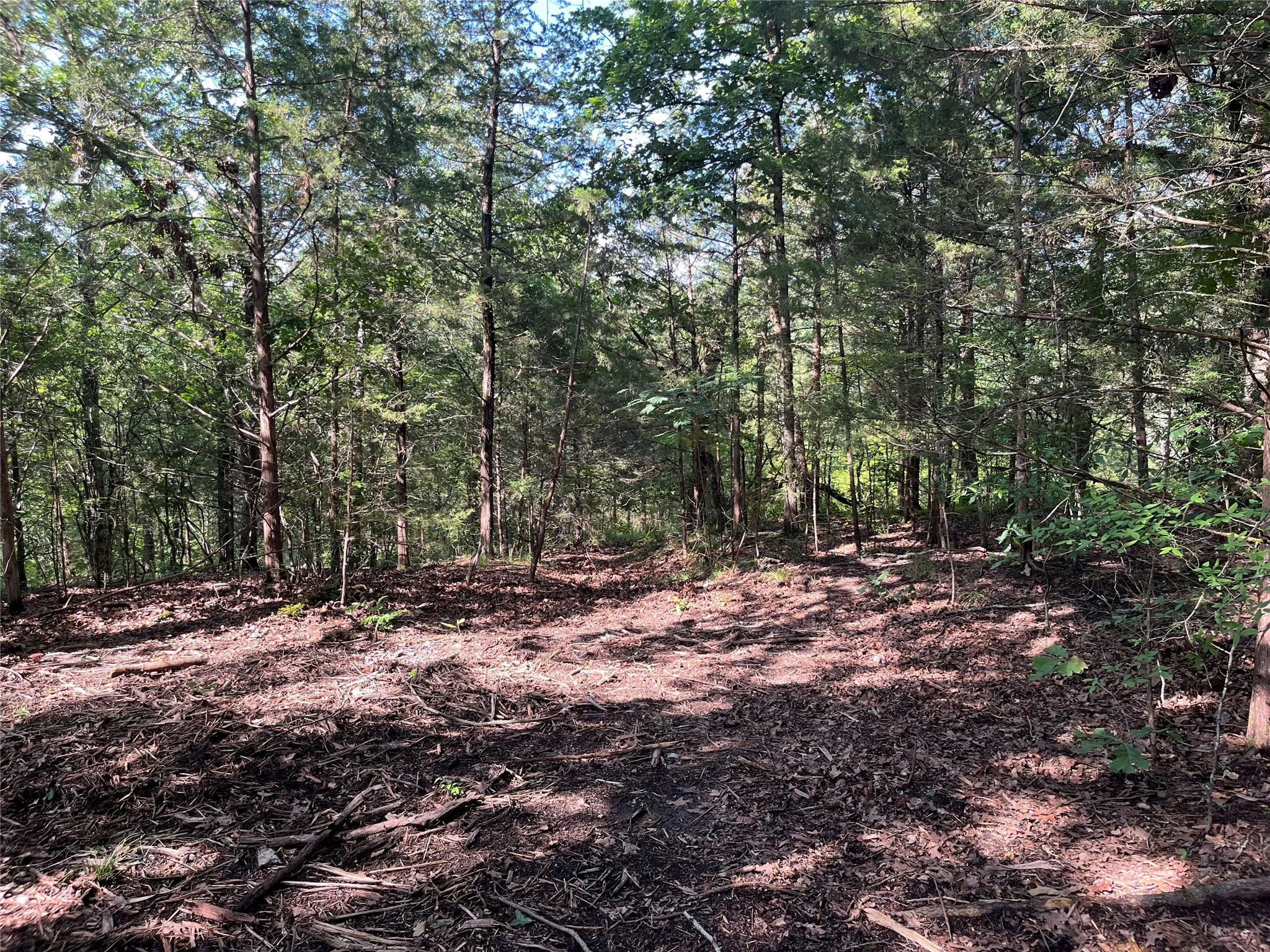 Unimproved Land For Sale in Fannin County , 9999 Fm 409, Monkstown, Texas 75446, 0, 0, Garage spaces, 0 Sqft, built in 0, mls#21299482, Real Estate Agent in Monkstown, Homes For Sale in Fannin county, Homes For Sale in Monkstown, Realtor in Monkstown Texas, Real Estate Brokerage Independent Realty Texas, Luminita Cordes Realtor