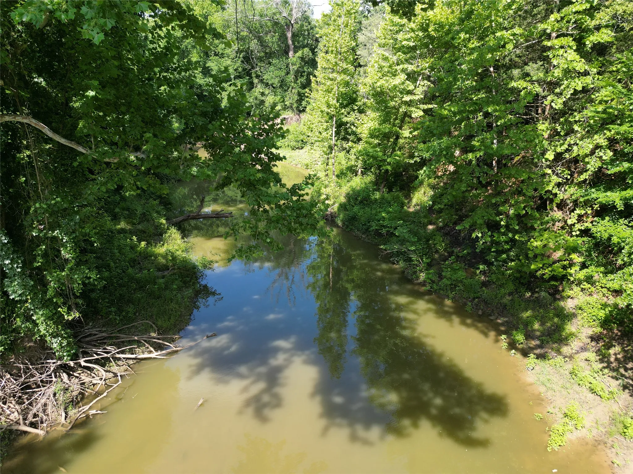 Unimproved Land For Sale in Fannin County , 9999 Fm 409, Monkstown, Texas 75446, 0, 0, Garage spaces, 0 Sqft, built in 0, mls#21299482, Real Estate Agent in Monkstown, Homes For Sale in Fannin county, Homes For Sale in Monkstown, Realtor in Monkstown Texas, Real Estate Brokerage Independent Realty Texas, Luminita Cordes Realtor