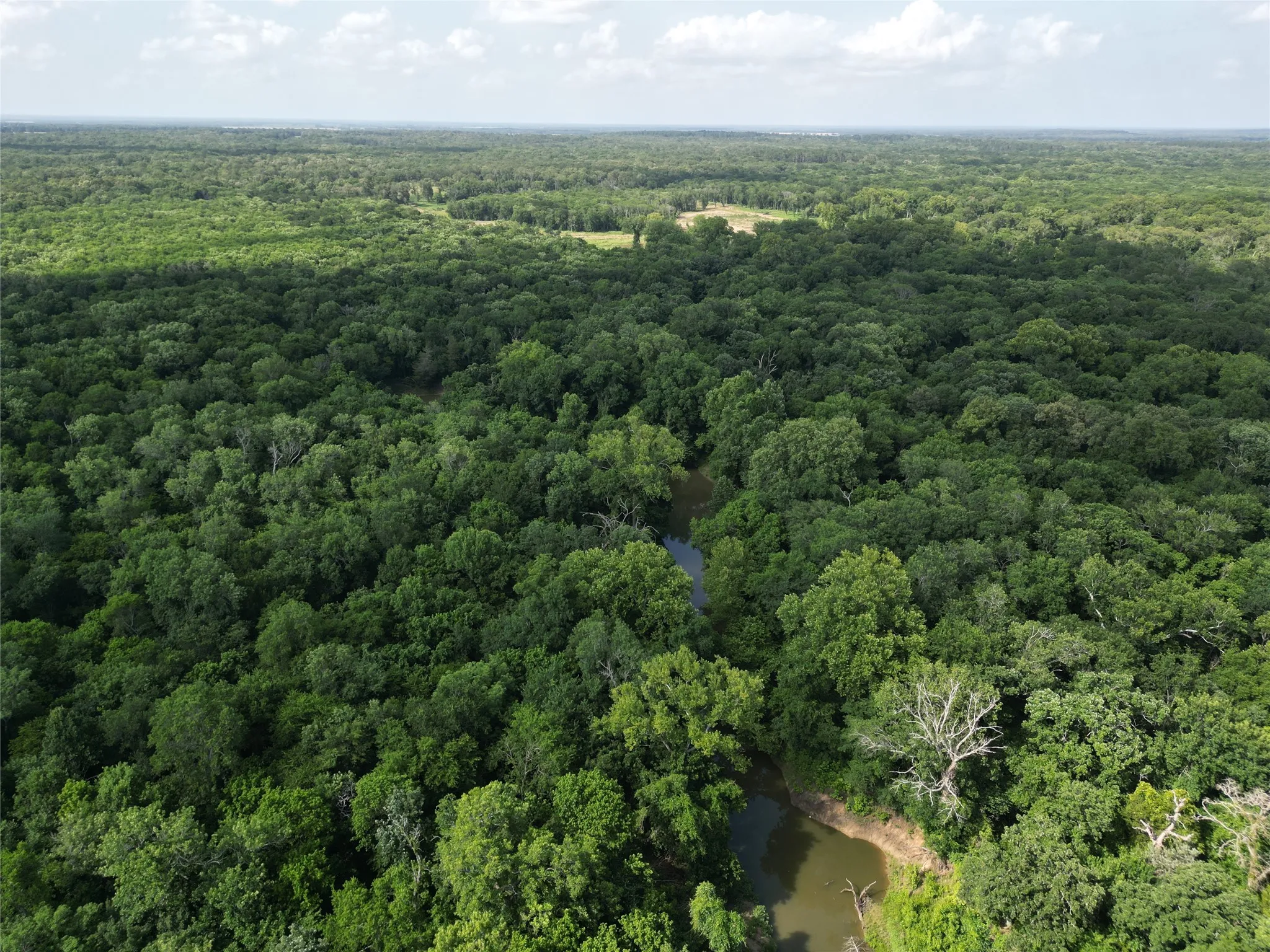 Unimproved Land For Sale in Fannin County , 9999 Fm 409, Monkstown, Texas 75446, 0, 0, Garage spaces, 0 Sqft, built in 0, mls#21299482, Real Estate Agent in Monkstown, Homes For Sale in Fannin county, Homes For Sale in Monkstown, Realtor in Monkstown Texas, Real Estate Brokerage Independent Realty Texas, Luminita Cordes Realtor