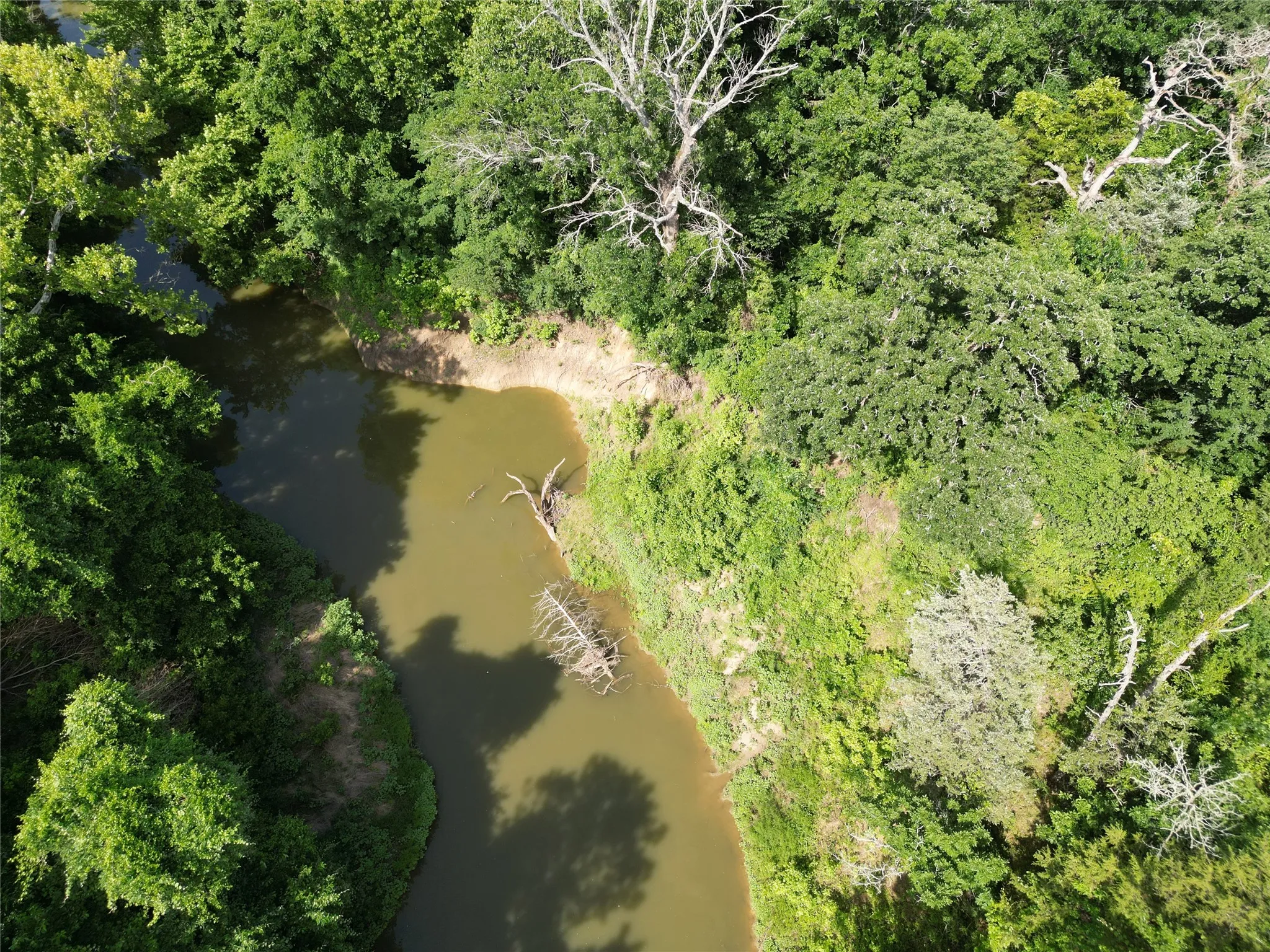 Unimproved Land For Sale in Fannin County , 9999 Fm 409, Monkstown, Texas 75446, 0, 0, Garage spaces, 0 Sqft, built in 0, mls#21299482, Real Estate Agent in Monkstown, Homes For Sale in Fannin county, Homes For Sale in Monkstown, Realtor in Monkstown Texas, Real Estate Brokerage Independent Realty Texas, Luminita Cordes Realtor