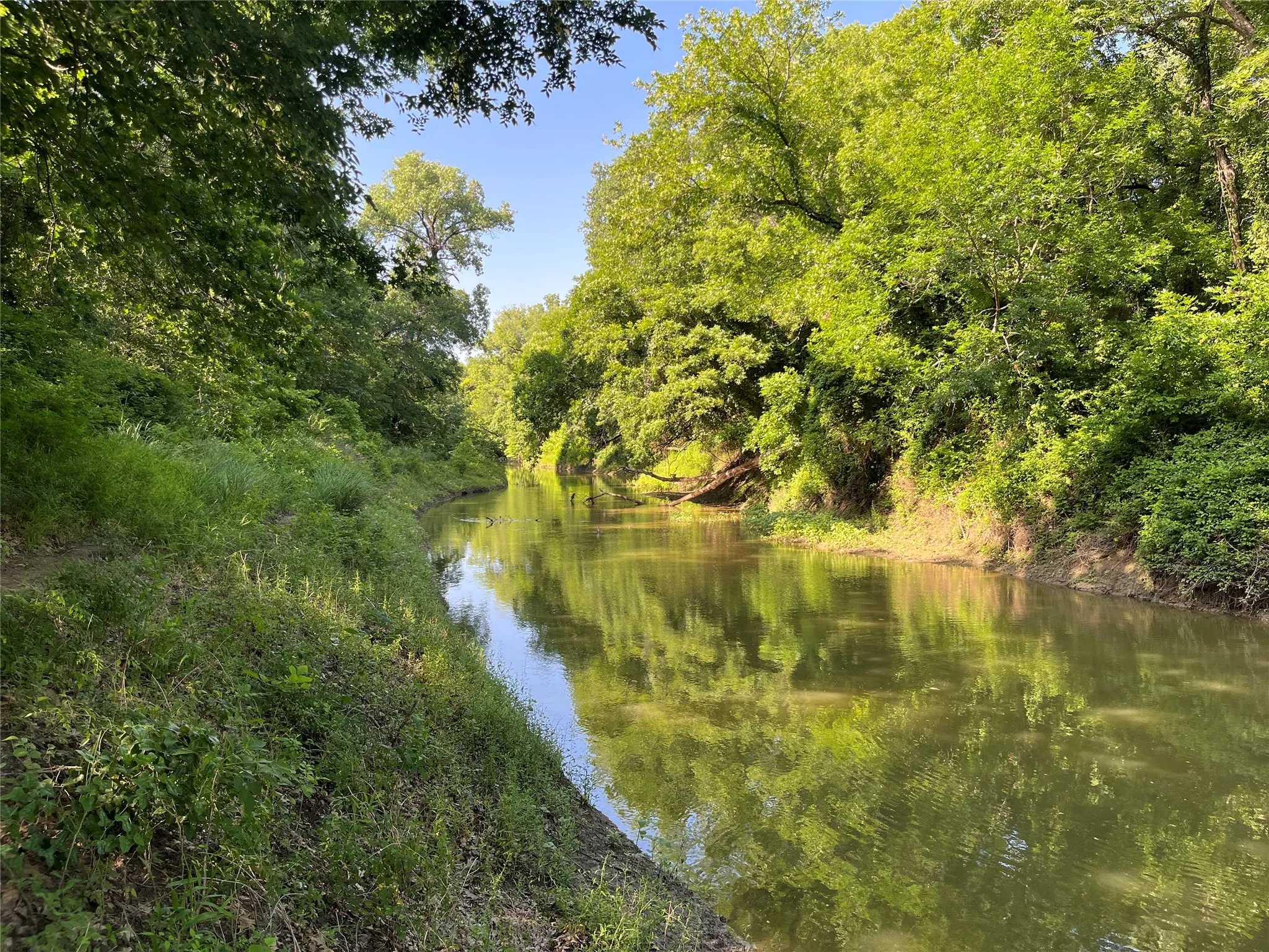 Unimproved Land For Sale in Fannin County , 9999 Fm 409, Monkstown, Texas 75446, 0, 0, Garage spaces, 0 Sqft, built in 0, mls#21299482, Real Estate Agent in Monkstown, Homes For Sale in Fannin county, Homes For Sale in Monkstown, Realtor in Monkstown Texas, Real Estate Brokerage Independent Realty Texas, Luminita Cordes Realtor