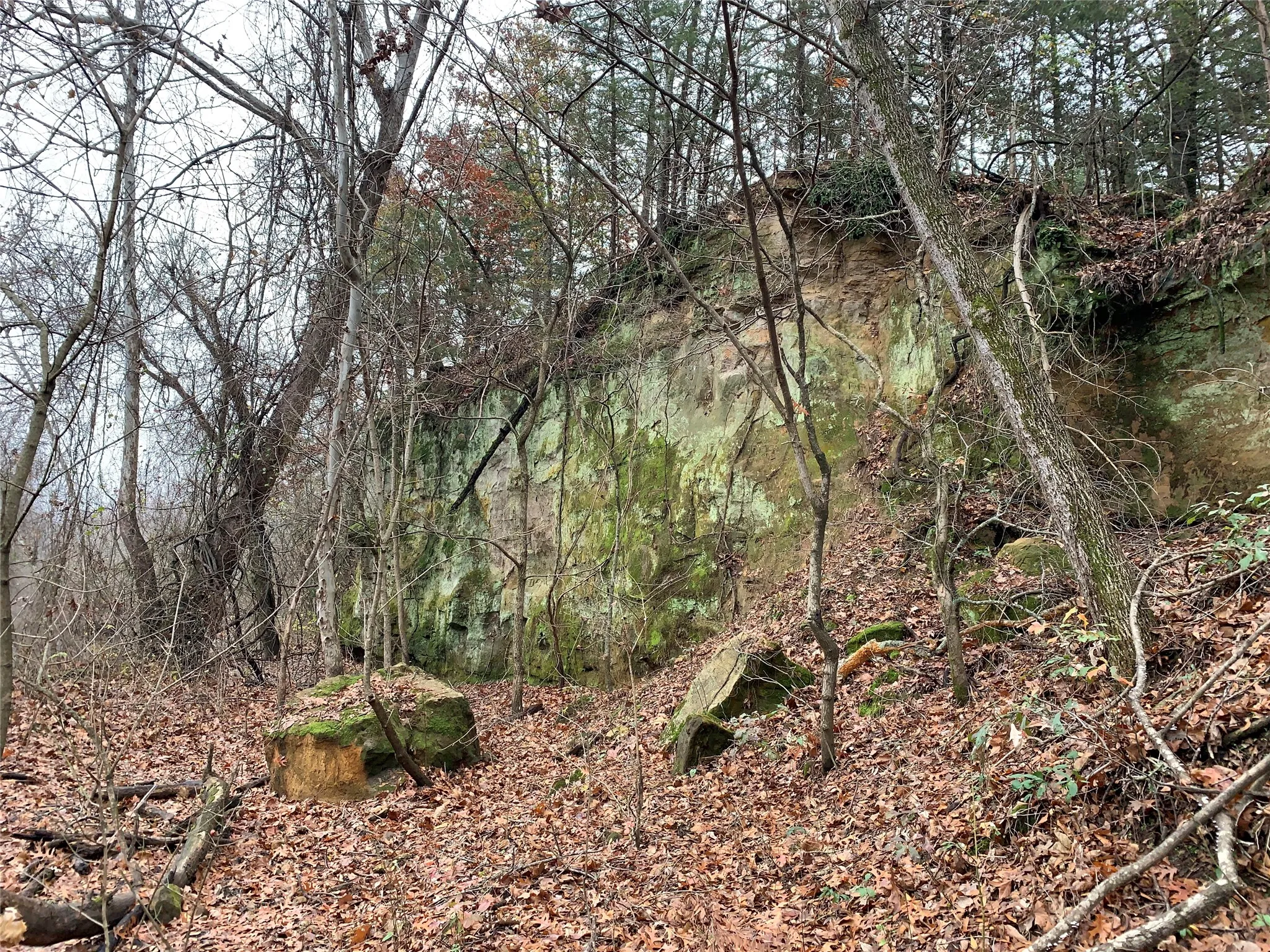 Unimproved Land For Sale in Fannin County , 9999 Fm 409, Monkstown, Texas 75446, 0, 0, Garage spaces, 0 Sqft, built in 0, mls#21299482, Real Estate Agent in Monkstown, Homes For Sale in Fannin county, Homes For Sale in Monkstown, Realtor in Monkstown Texas, Real Estate Brokerage Independent Realty Texas, Luminita Cordes Realtor