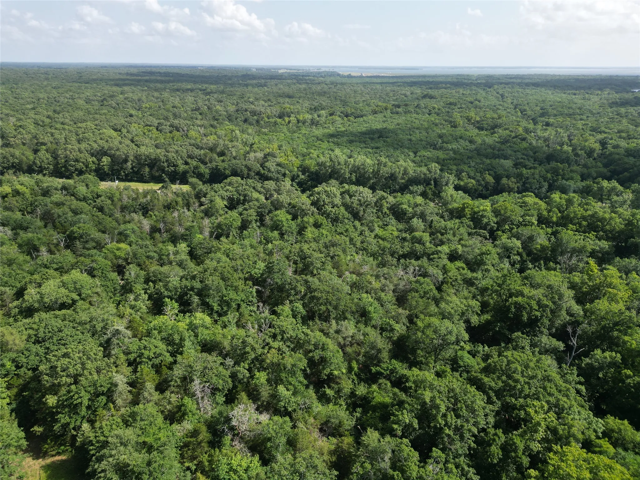 Unimproved Land For Sale in Fannin County , 9999 Fm 409, Monkstown, Texas 75446, 0, 0, Garage spaces, 0 Sqft, built in 0, mls#21299482, Real Estate Agent in Monkstown, Homes For Sale in Fannin county, Homes For Sale in Monkstown, Realtor in Monkstown Texas, Real Estate Brokerage Independent Realty Texas, Luminita Cordes Realtor
