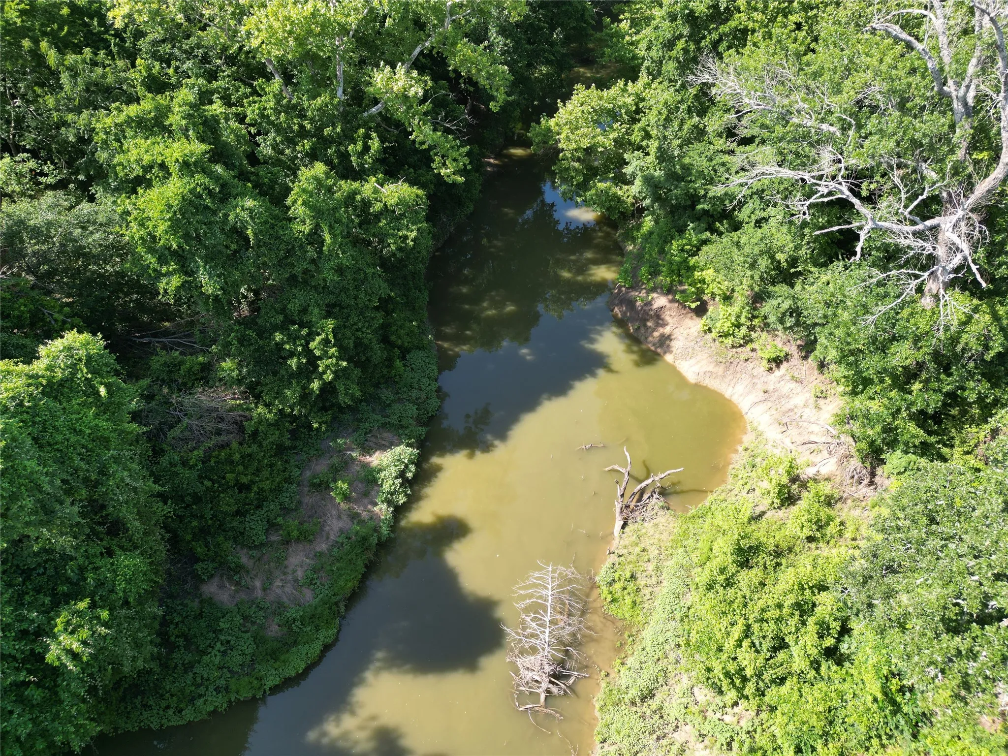 Unimproved Land For Sale in Fannin County , 9999 Fm 409, Monkstown, Texas 75446, 0, 0, Garage spaces, 0 Sqft, built in 0, mls#21299482, Real Estate Agent in Monkstown, Homes For Sale in Fannin county, Homes For Sale in Monkstown, Realtor in Monkstown Texas, Real Estate Brokerage Independent Realty Texas, Luminita Cordes Realtor