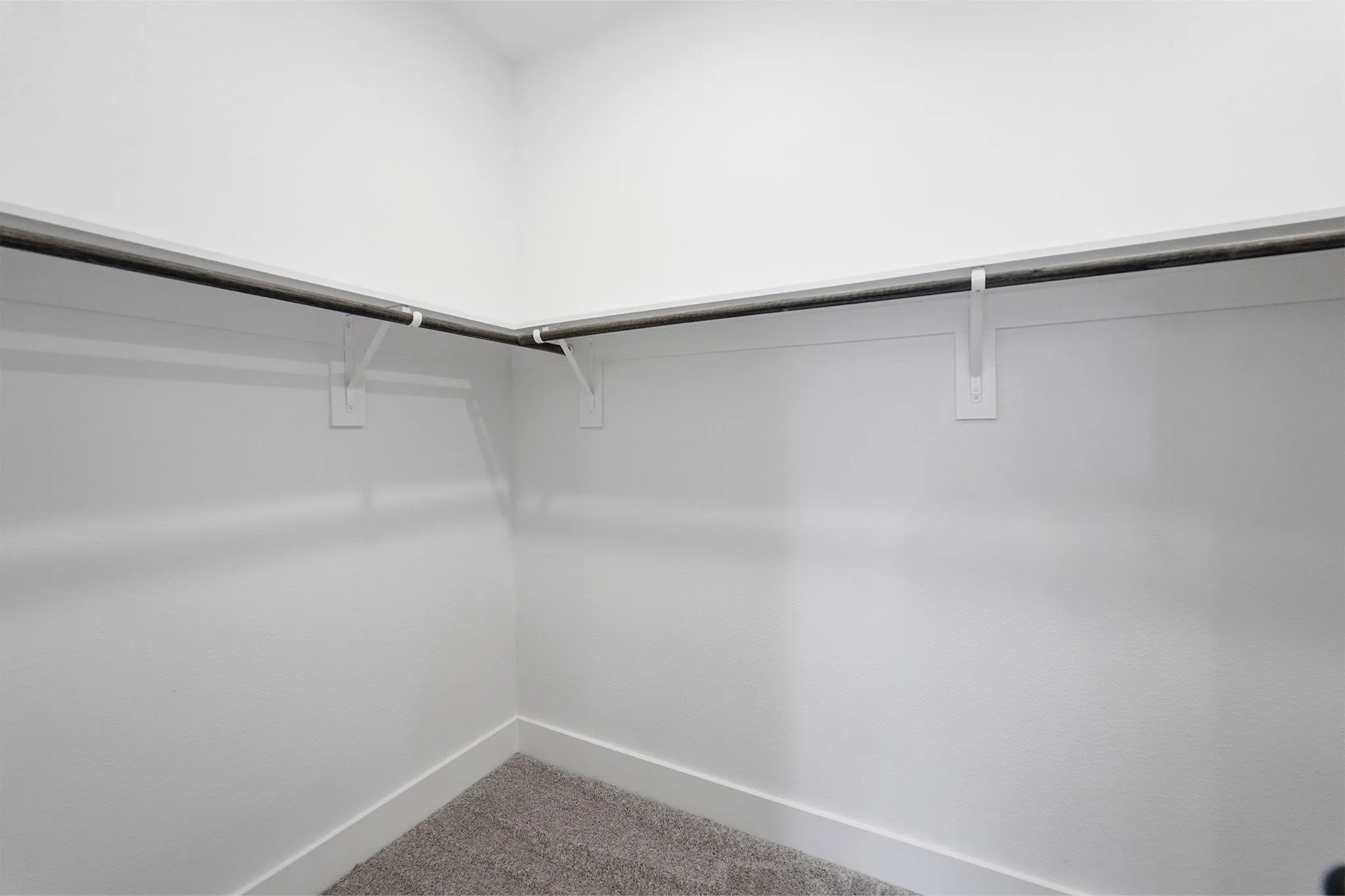 Walk-in closet featuring white walls, carpet flooring, baseboard trim, and a built-in hanging rod system