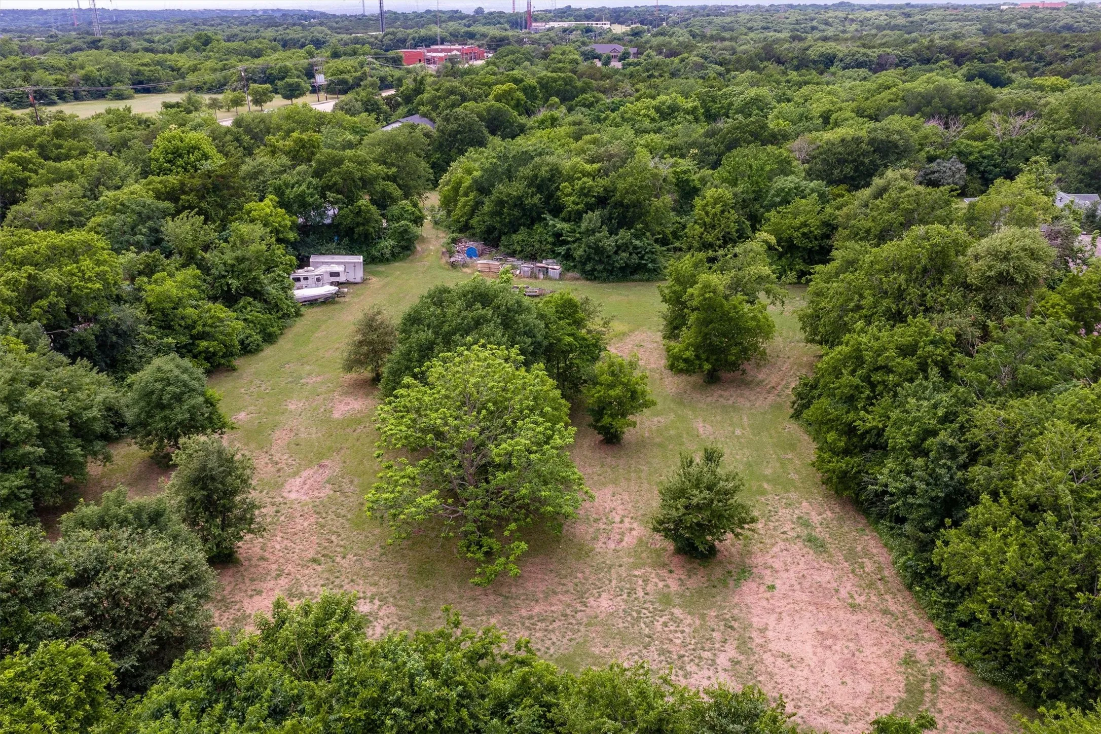 Expansive wooded landscape featuring a clearing with open ground and scattered mature trees