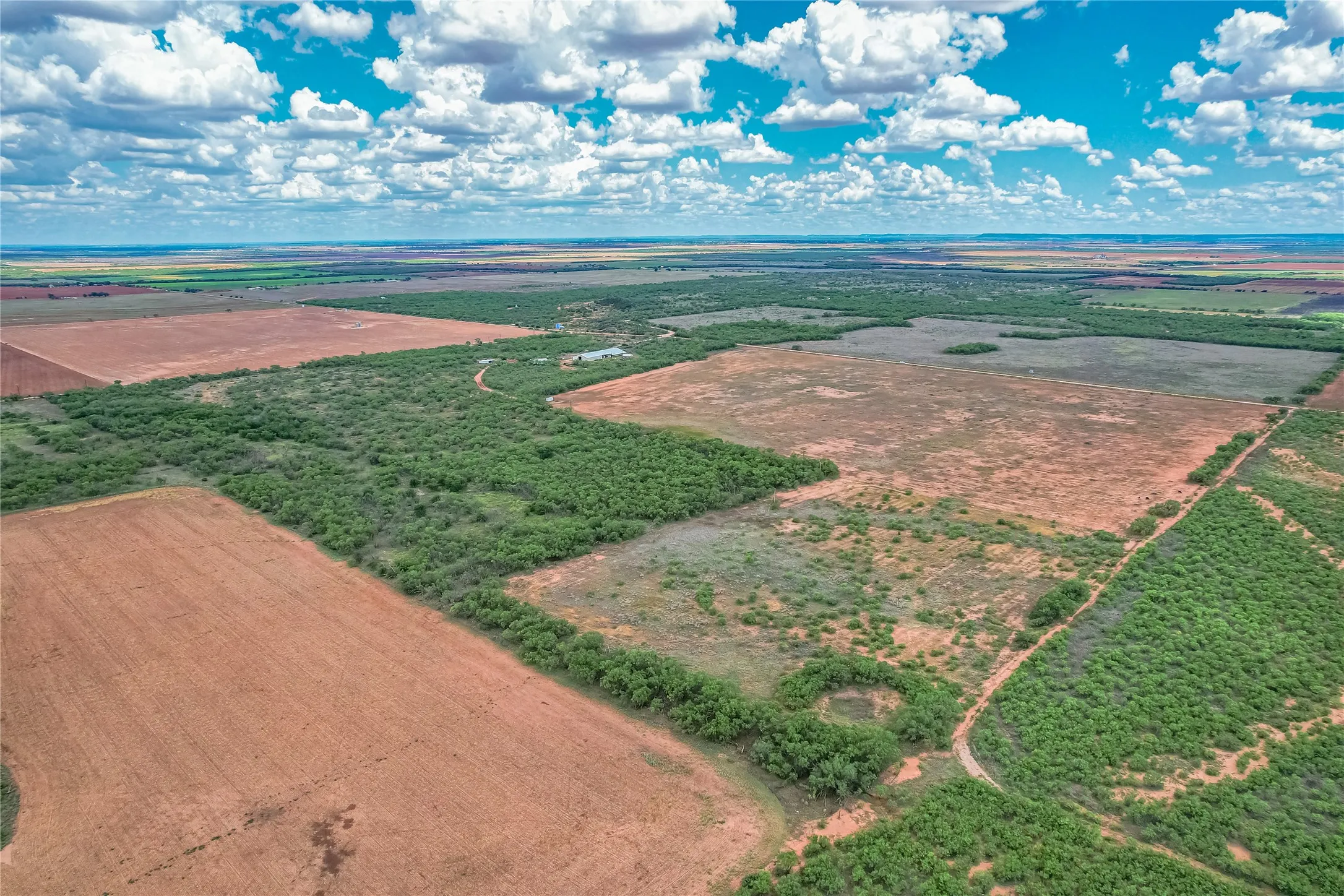 Farm For Sale in Jones County , 14867 County Road 407, Trent, Texas 79561, 5 Bedroom, 3 Bathroom, Garage spaces, 4,800 Sqft, built in 2021, mls#21290885, Real Estate Agent in Trent, Homes For Sale in Jones county, Homes For Sale in Trent, Realtor in Trent Texas, Real Estate Brokerage Independent Realty Texas, Luminita Cordes Realtor