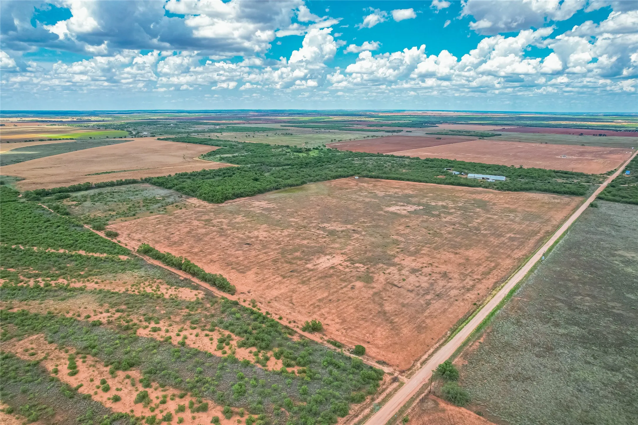 Mesquite trees, native grasses and cactus