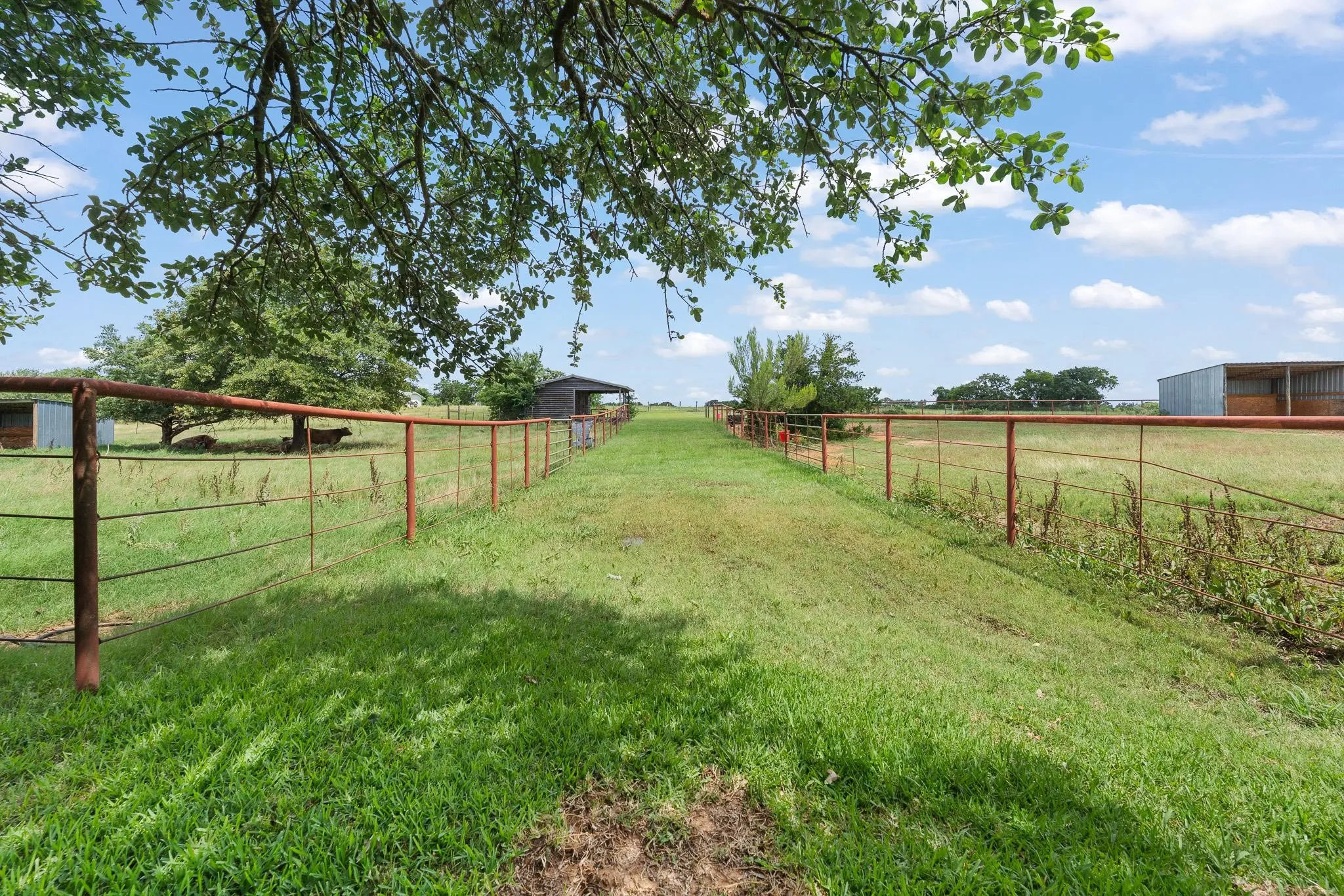Farm For Sale in Johnson County , 3001 E Fm 4, Cleburne, Texas 76031, 3 Bedroom, 3 Bathroom, 2 Garage spaces, 2,729 Sqft, built in 1980, mls#21298428, Real Estate Agent in Cleburne, Homes For Sale in Johnson county, Homes For Sale in Cleburne, Realtor in Cleburne Texas, Real Estate Brokerage Independent Realty Texas, Luminita Cordes Realtor