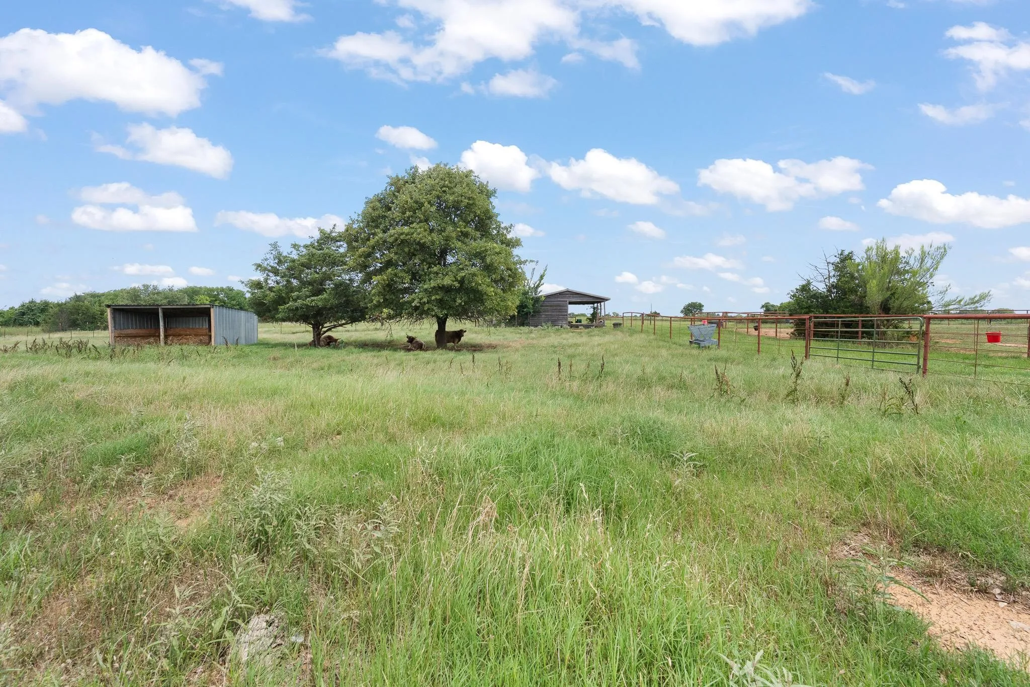 Farm For Sale in Johnson County , 3001 E Fm 4, Cleburne, Texas 76031, 3 Bedroom, 3 Bathroom, 2 Garage spaces, 2,729 Sqft, built in 1980, mls#21298428, Real Estate Agent in Cleburne, Homes For Sale in Johnson county, Homes For Sale in Cleburne, Realtor in Cleburne Texas, Real Estate Brokerage Independent Realty Texas, Luminita Cordes Realtor