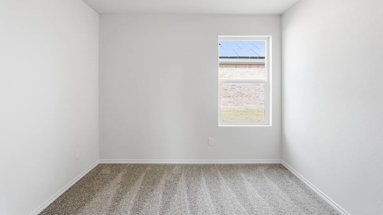 Neutral white walls, plush carpet flooring, white baseboards, and a double-hung window