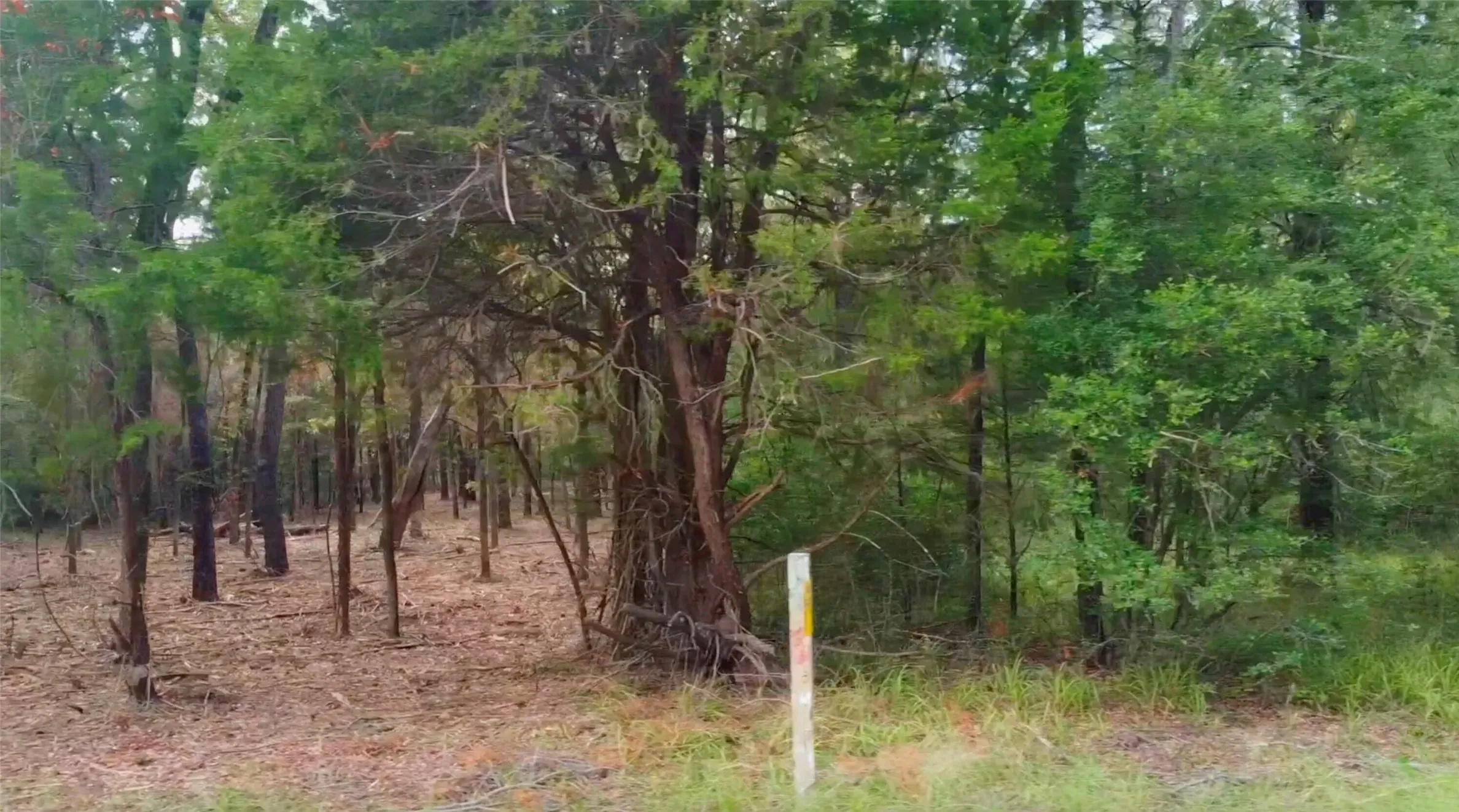 Unimproved Land For Sale in Limestone County , 0 LCR 900, Jewett, Texas 75846, 0, 0, Garage spaces, 0 Sqft, built in 0, mls#21300289, Real Estate Agent in Jewett, Homes For Sale in Limestone county, Homes For Sale in Jewett, Realtor in Jewett Texas, Real Estate Brokerage Independent Realty Texas, Luminita Cordes Realtor
