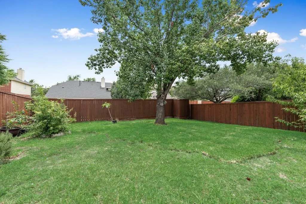 Back yard.