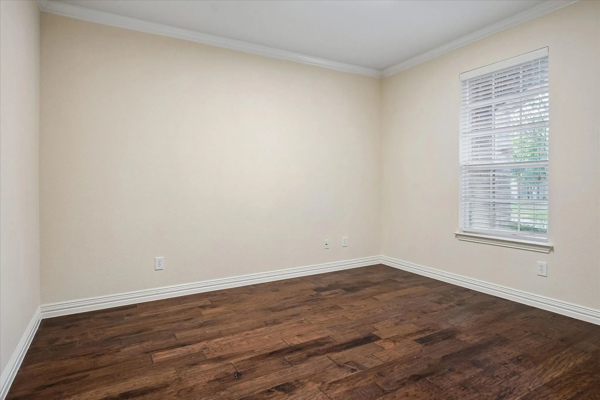 Wood-finish flooring, crown molding, and a window with blinds