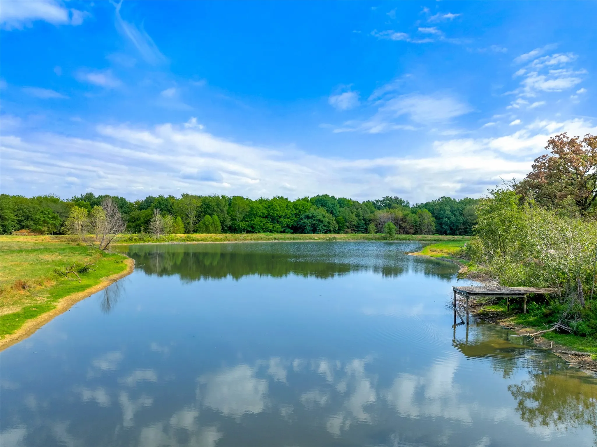 Unimproved Land For Sale in Hopkins County , TBD County Road 3371, Saltillo, Texas 75478, 0, 0, Garage spaces, 0 Sqft, built in 0, mls#21300437, Real Estate Agent in Saltillo, Homes For Sale in Hopkins county, Homes For Sale in Saltillo, Realtor in Saltillo Texas, Real Estate Brokerage Independent Realty Texas, Luminita Cordes Realtor