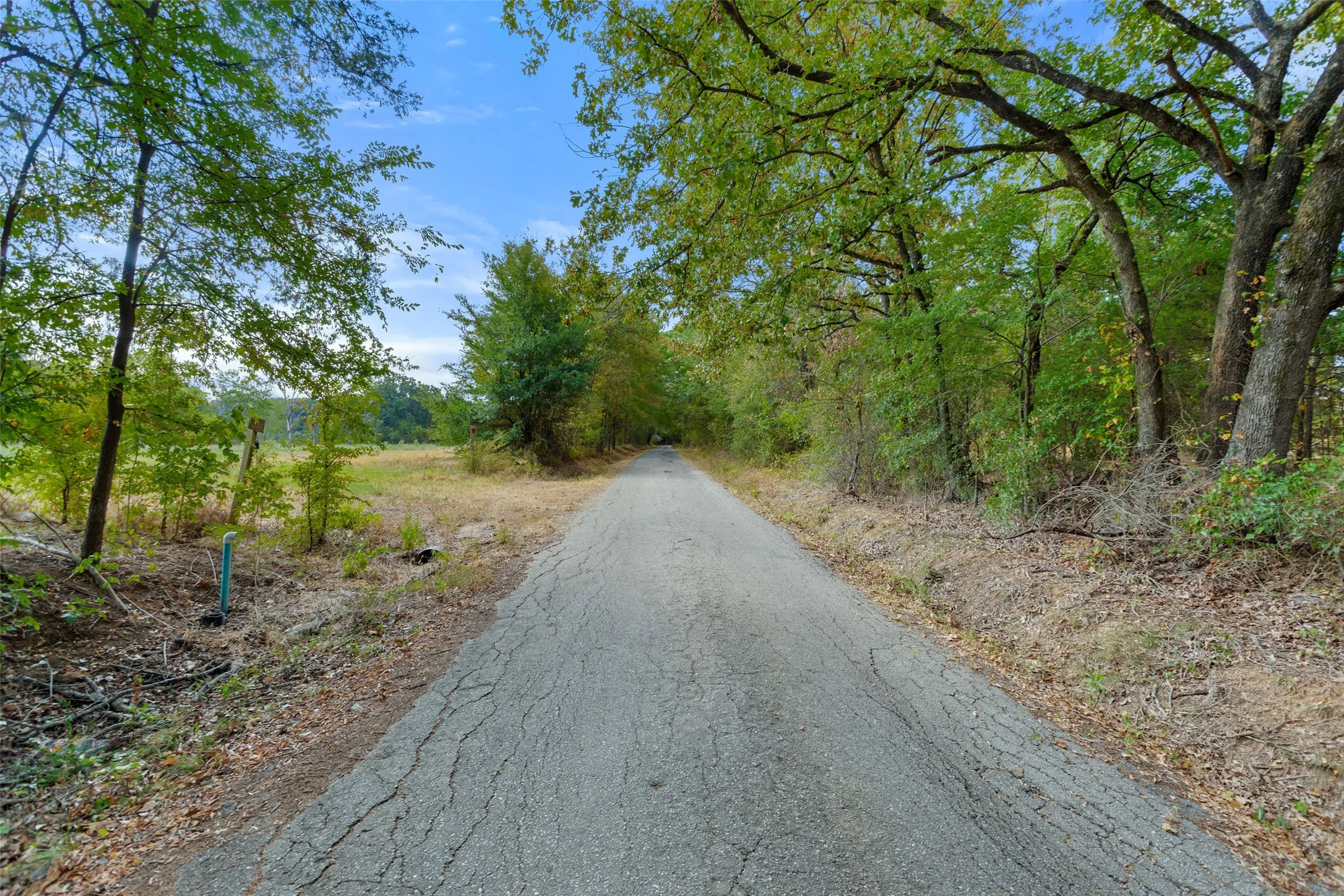 Unimproved Land For Sale in Hopkins County , TBD County Road 3371, Saltillo, Texas 75478, 0, 0, Garage spaces, 0 Sqft, built in 0, mls#21300437, Real Estate Agent in Saltillo, Homes For Sale in Hopkins county, Homes For Sale in Saltillo, Realtor in Saltillo Texas, Real Estate Brokerage Independent Realty Texas, Luminita Cordes Realtor