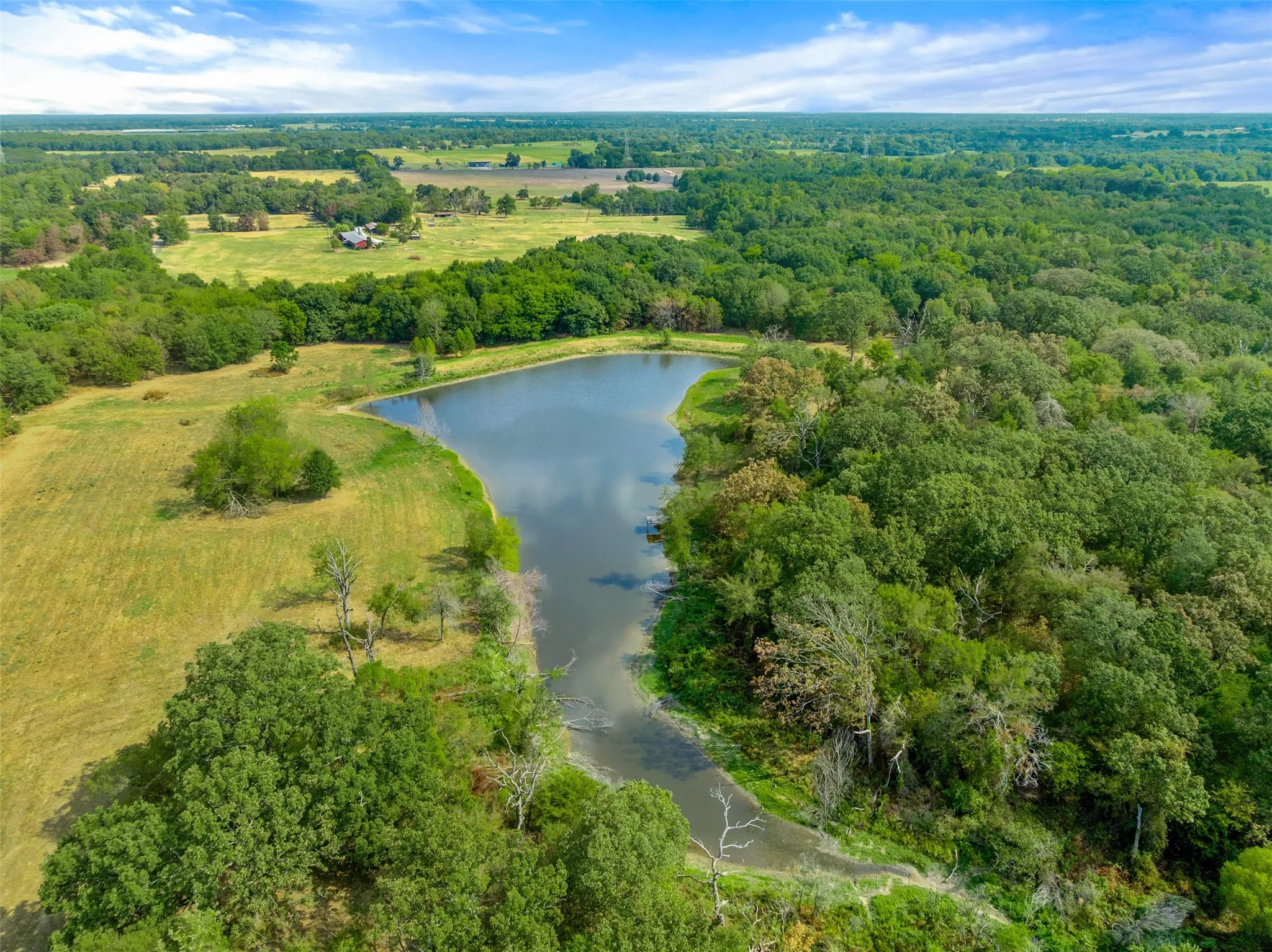 Unimproved Land For Sale in Hopkins County , TBD County Road 3371, Saltillo, Texas 75478, 0, 0, Garage spaces, 0 Sqft, built in 0, mls#21300437, Real Estate Agent in Saltillo, Homes For Sale in Hopkins county, Homes For Sale in Saltillo, Realtor in Saltillo Texas, Real Estate Brokerage Independent Realty Texas, Luminita Cordes Realtor
