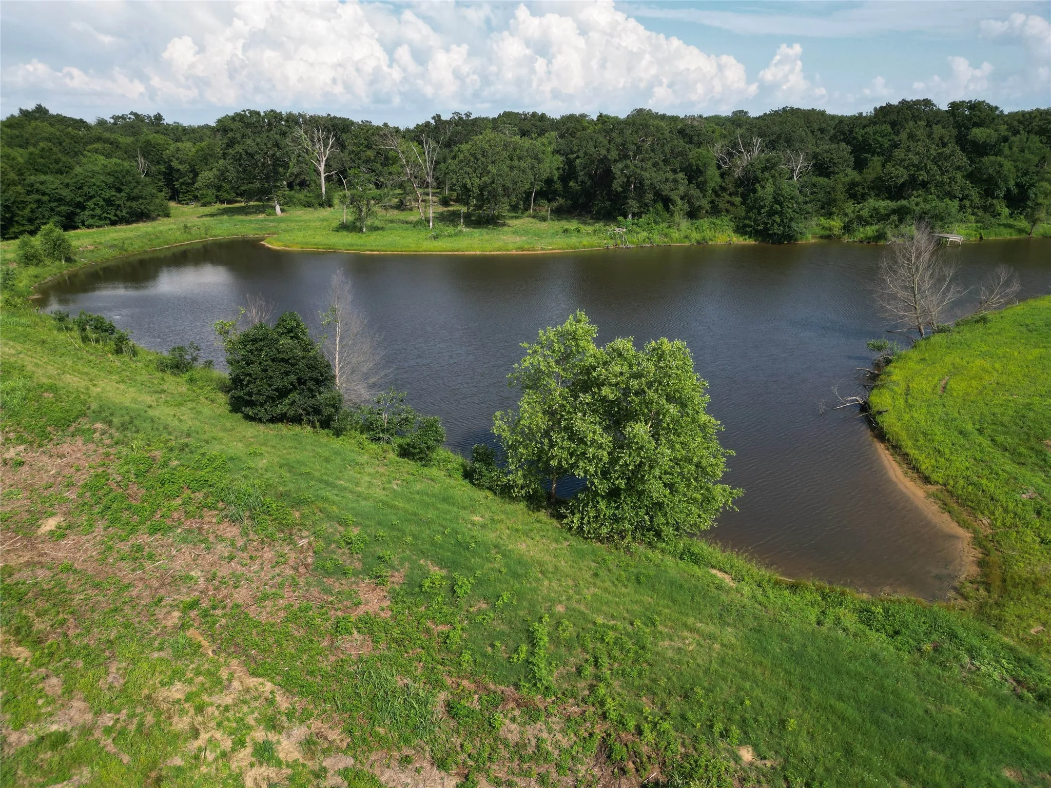 Unimproved Land For Sale in Hopkins County , TBD County Road 3371, Saltillo, Texas 75478, 0, 0, Garage spaces, 0 Sqft, built in 0, mls#21300437, Real Estate Agent in Saltillo, Homes For Sale in Hopkins county, Homes For Sale in Saltillo, Realtor in Saltillo Texas, Real Estate Brokerage Independent Realty Texas, Luminita Cordes Realtor