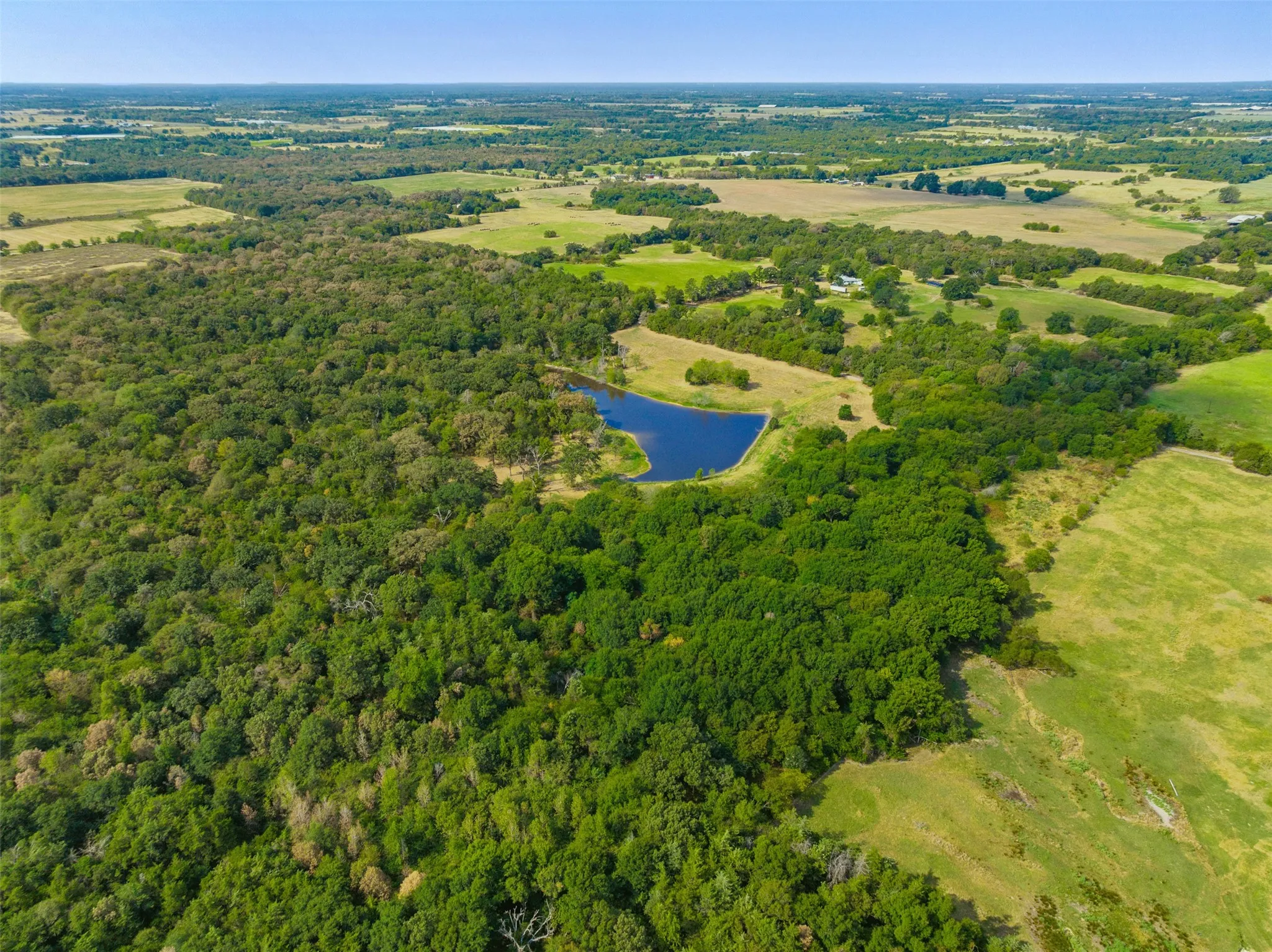 Unimproved Land For Sale in Hopkins County , TBD County Road 3371, Saltillo, Texas 75478, 0, 0, Garage spaces, 0 Sqft, built in 0, mls#21300437, Real Estate Agent in Saltillo, Homes For Sale in Hopkins county, Homes For Sale in Saltillo, Realtor in Saltillo Texas, Real Estate Brokerage Independent Realty Texas, Luminita Cordes Realtor