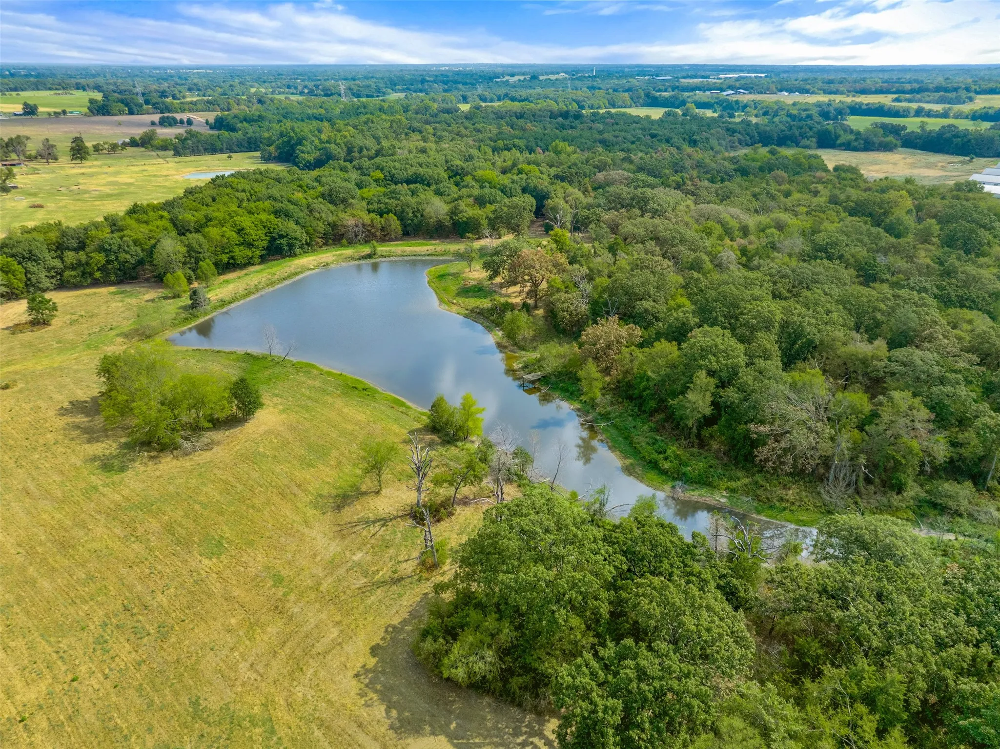 Unimproved Land For Sale in Hopkins County , TBD County Road 3371, Saltillo, Texas 75478, 0, 0, Garage spaces, 0 Sqft, built in 0, mls#21300437, Real Estate Agent in Saltillo, Homes For Sale in Hopkins county, Homes For Sale in Saltillo, Realtor in Saltillo Texas, Real Estate Brokerage Independent Realty Texas, Luminita Cordes Realtor