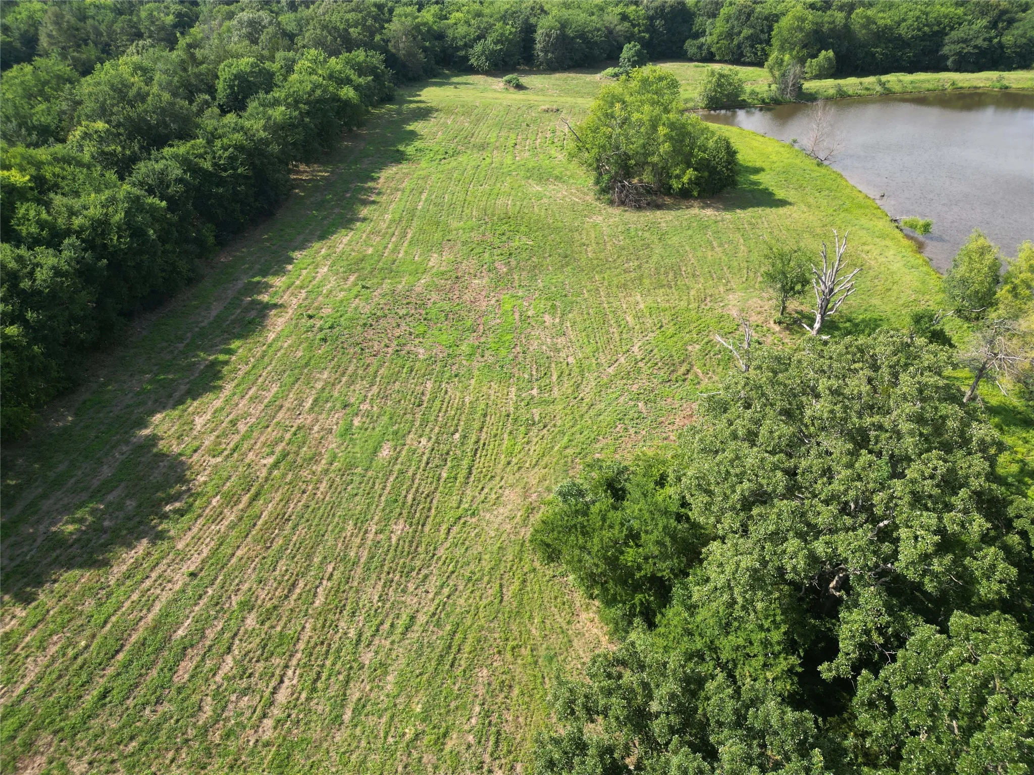 Unimproved Land For Sale in Hopkins County , TBD County Road 3371, Saltillo, Texas 75478, 0, 0, Garage spaces, 0 Sqft, built in 0, mls#21300437, Real Estate Agent in Saltillo, Homes For Sale in Hopkins county, Homes For Sale in Saltillo, Realtor in Saltillo Texas, Real Estate Brokerage Independent Realty Texas, Luminita Cordes Realtor