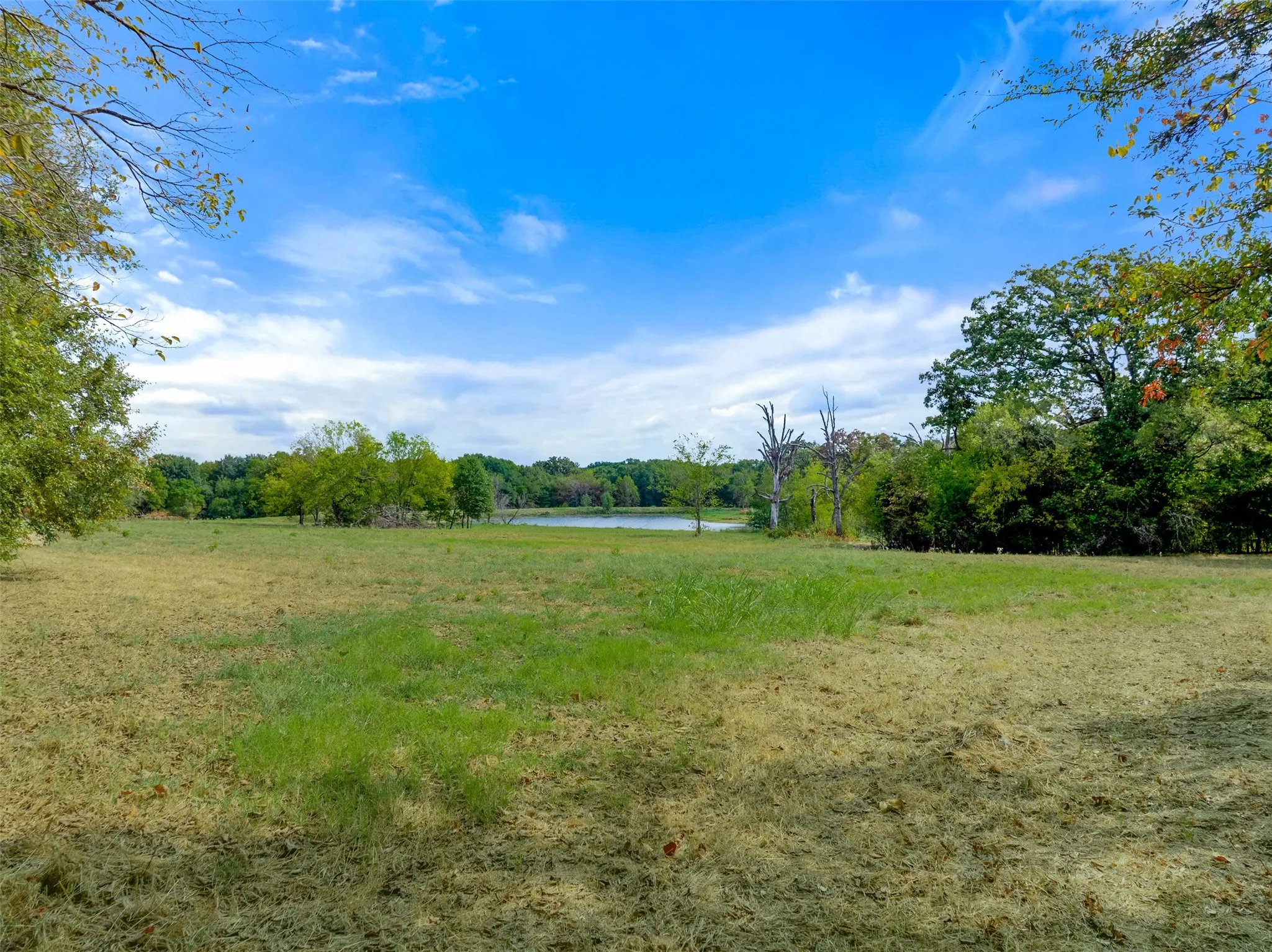 Unimproved Land For Sale in Hopkins County , TBD County Road 3371, Saltillo, Texas 75478, 0, 0, Garage spaces, 0 Sqft, built in 0, mls#21300437, Real Estate Agent in Saltillo, Homes For Sale in Hopkins county, Homes For Sale in Saltillo, Realtor in Saltillo Texas, Real Estate Brokerage Independent Realty Texas, Luminita Cordes Realtor
