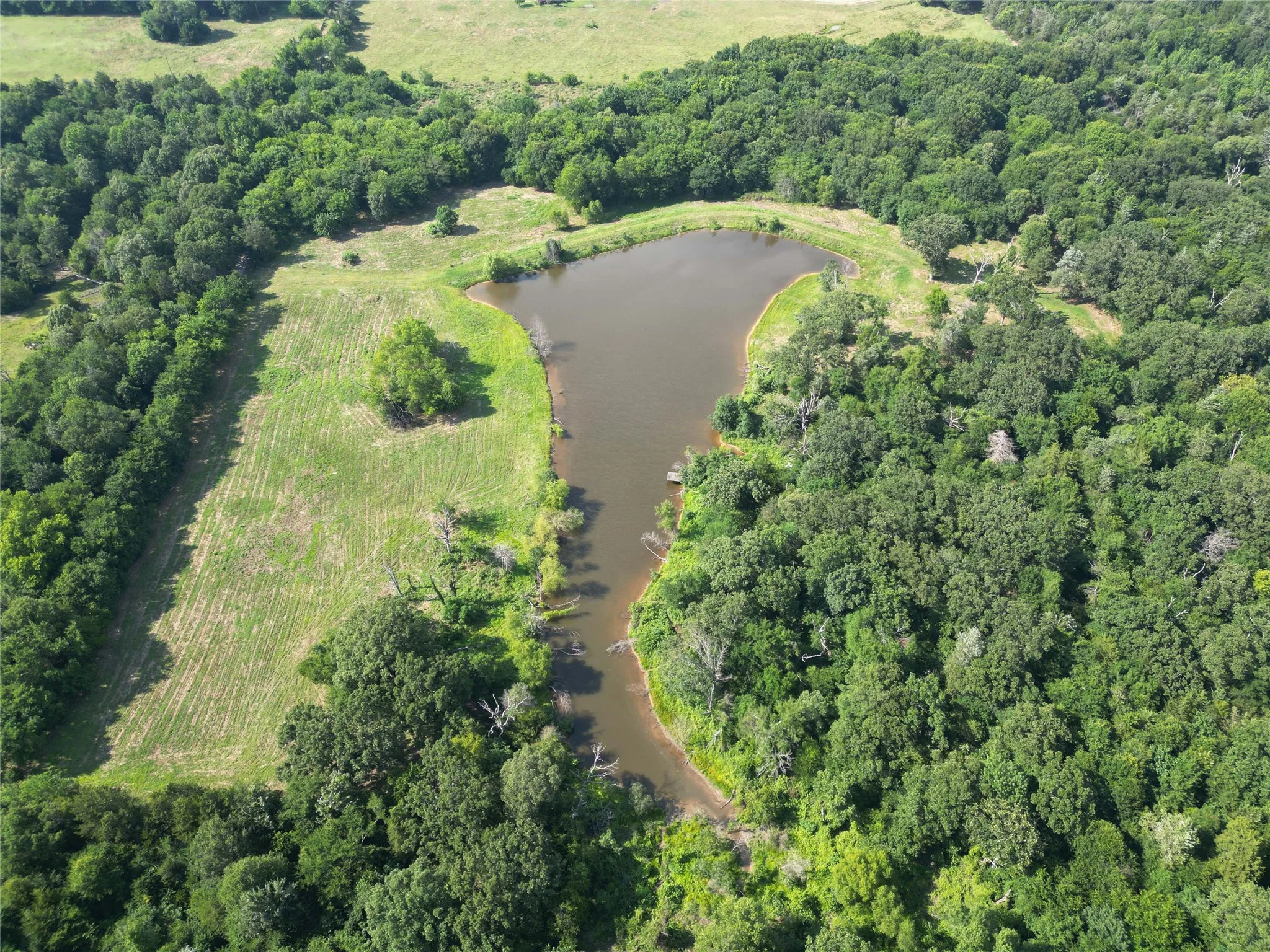 Unimproved Land For Sale in Hopkins County , TBD County Road 3371, Saltillo, Texas 75478, 0, 0, Garage spaces, 0 Sqft, built in 0, mls#21300437, Real Estate Agent in Saltillo, Homes For Sale in Hopkins county, Homes For Sale in Saltillo, Realtor in Saltillo Texas, Real Estate Brokerage Independent Realty Texas, Luminita Cordes Realtor