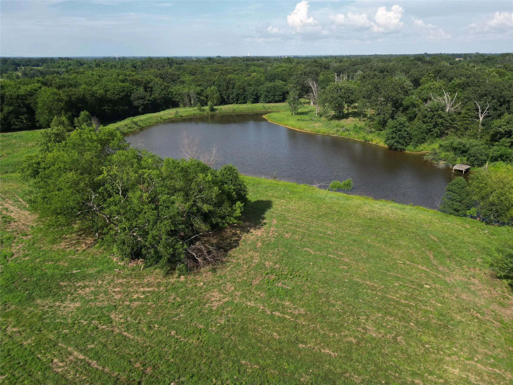 Unimproved Land For Sale in Hopkins County , TBD County Road 3371, Saltillo, Texas 75478, 0, 0, Garage spaces, 0 Sqft, built in 0, mls#21300437, Real Estate Agent in Saltillo, Homes For Sale in Hopkins county, Homes For Sale in Saltillo, Realtor in Saltillo Texas, Real Estate Brokerage Independent Realty Texas, Luminita Cordes Realtor