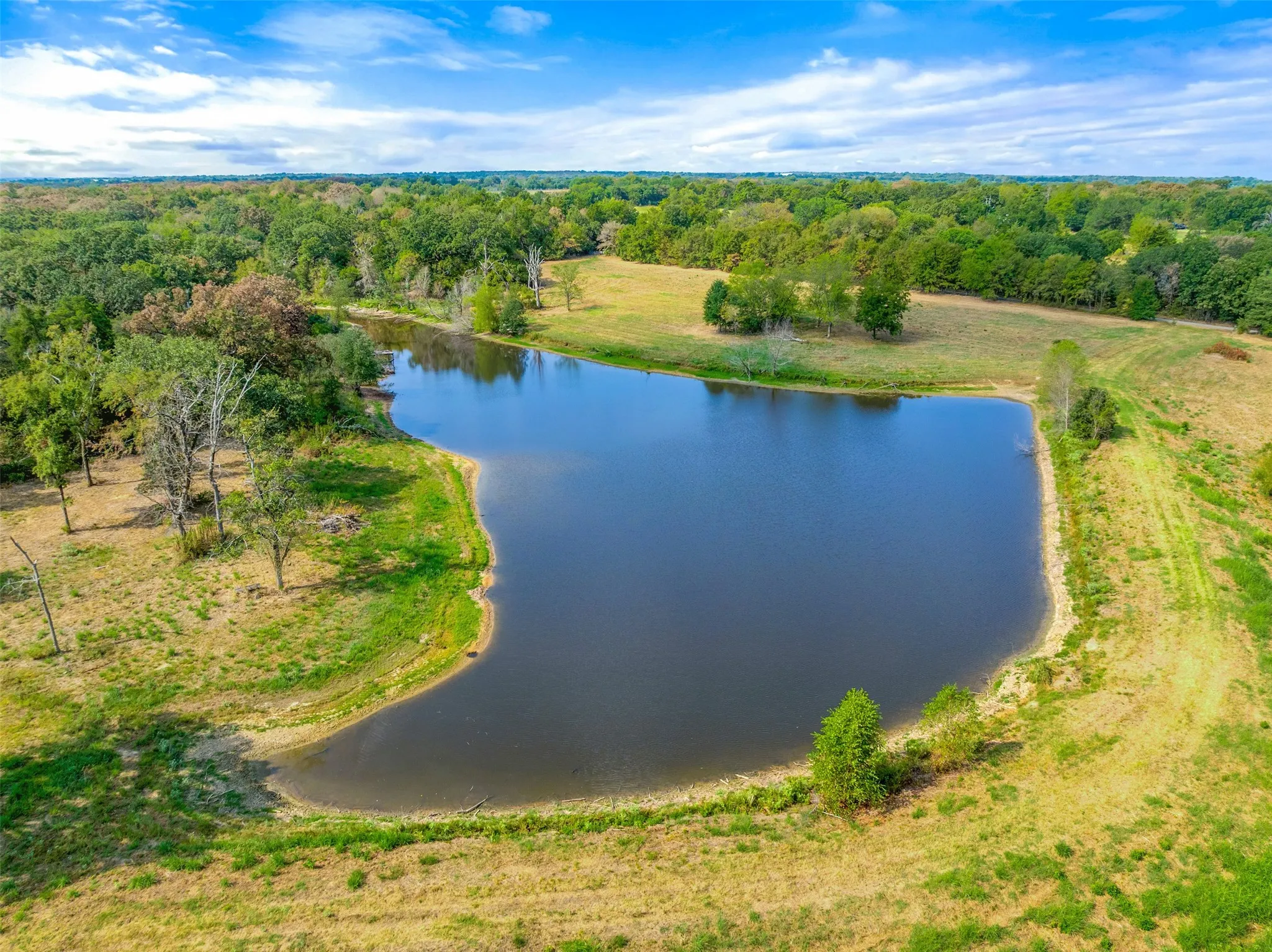 Unimproved Land For Sale in Hopkins County , TBD County Road 3371, Saltillo, Texas 75478, 0, 0, Garage spaces, 0 Sqft, built in 0, mls#21300437, Real Estate Agent in Saltillo, Homes For Sale in Hopkins county, Homes For Sale in Saltillo, Realtor in Saltillo Texas, Real Estate Brokerage Independent Realty Texas, Luminita Cordes Realtor