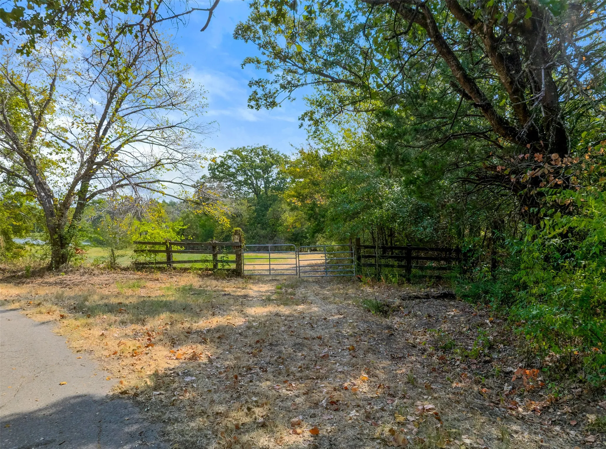 Unimproved Land For Sale in Hopkins County , TBD County Road 3371, Saltillo, Texas 75478, 0, 0, Garage spaces, 0 Sqft, built in 0, mls#21300437, Real Estate Agent in Saltillo, Homes For Sale in Hopkins county, Homes For Sale in Saltillo, Realtor in Saltillo Texas, Real Estate Brokerage Independent Realty Texas, Luminita Cordes Realtor
