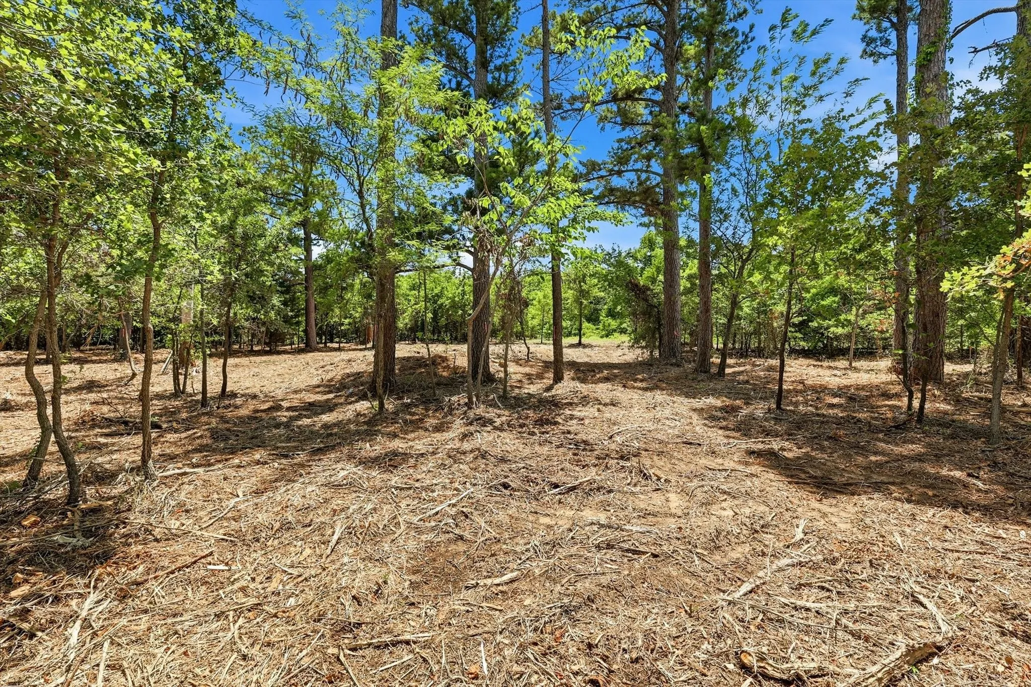 Unimproved Land For Sale in Denton County , 1121 Redbird Grove Road, Argyle, Texas 76226, 0, 0, Garage spaces, 0 Sqft, built in 0, mls#21299335, Real Estate Agent in Argyle, Homes For Sale in Denton county, Homes For Sale in Argyle, Realtor in Argyle Texas, Real Estate Brokerage Independent Realty Texas, Luminita Cordes Realtor