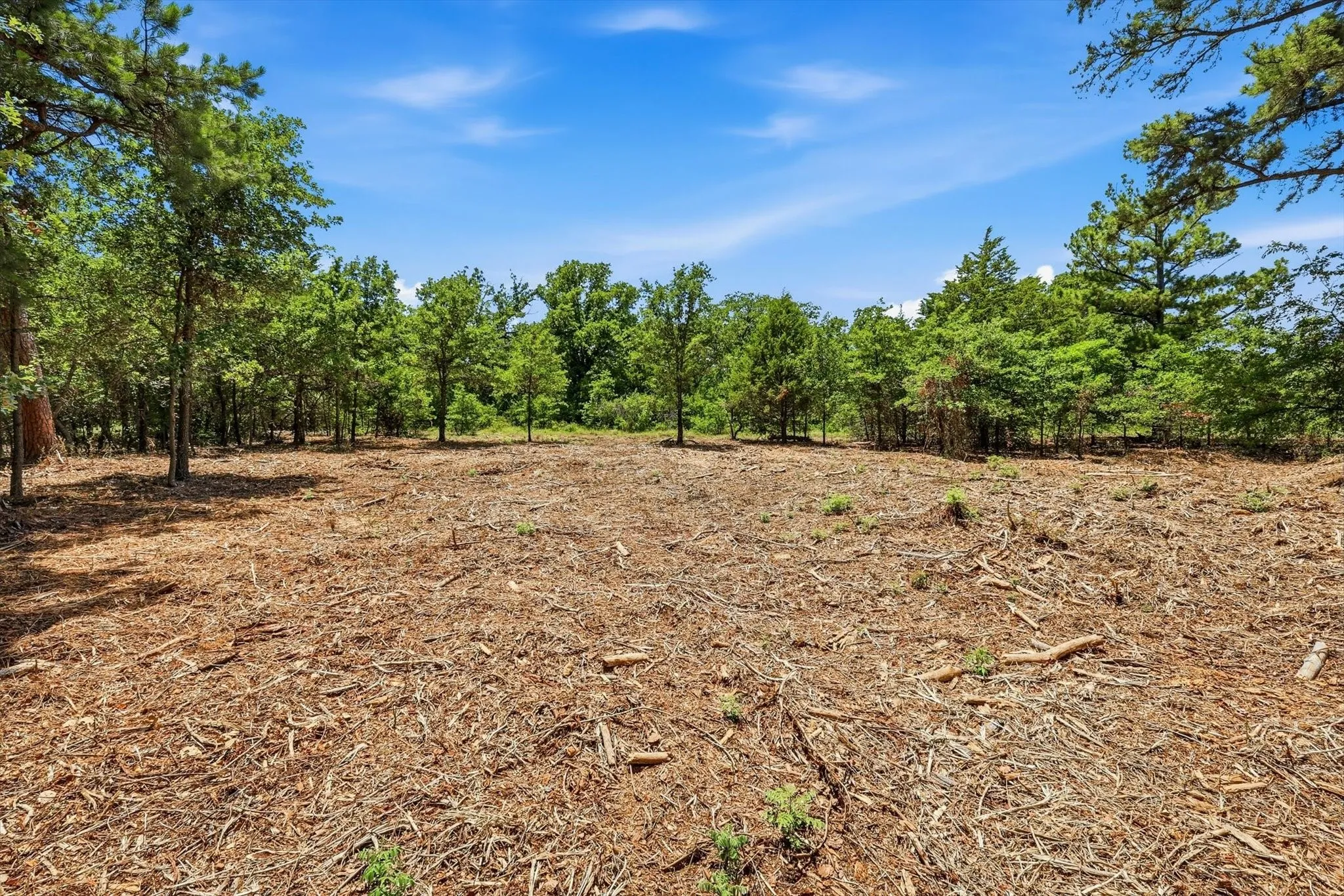 Unimproved Land For Sale in Denton County , 1121 Redbird Grove Road, Argyle, Texas 76226, 0, 0, Garage spaces, 0 Sqft, built in 0, mls#21299335, Real Estate Agent in Argyle, Homes For Sale in Denton county, Homes For Sale in Argyle, Realtor in Argyle Texas, Real Estate Brokerage Independent Realty Texas, Luminita Cordes Realtor