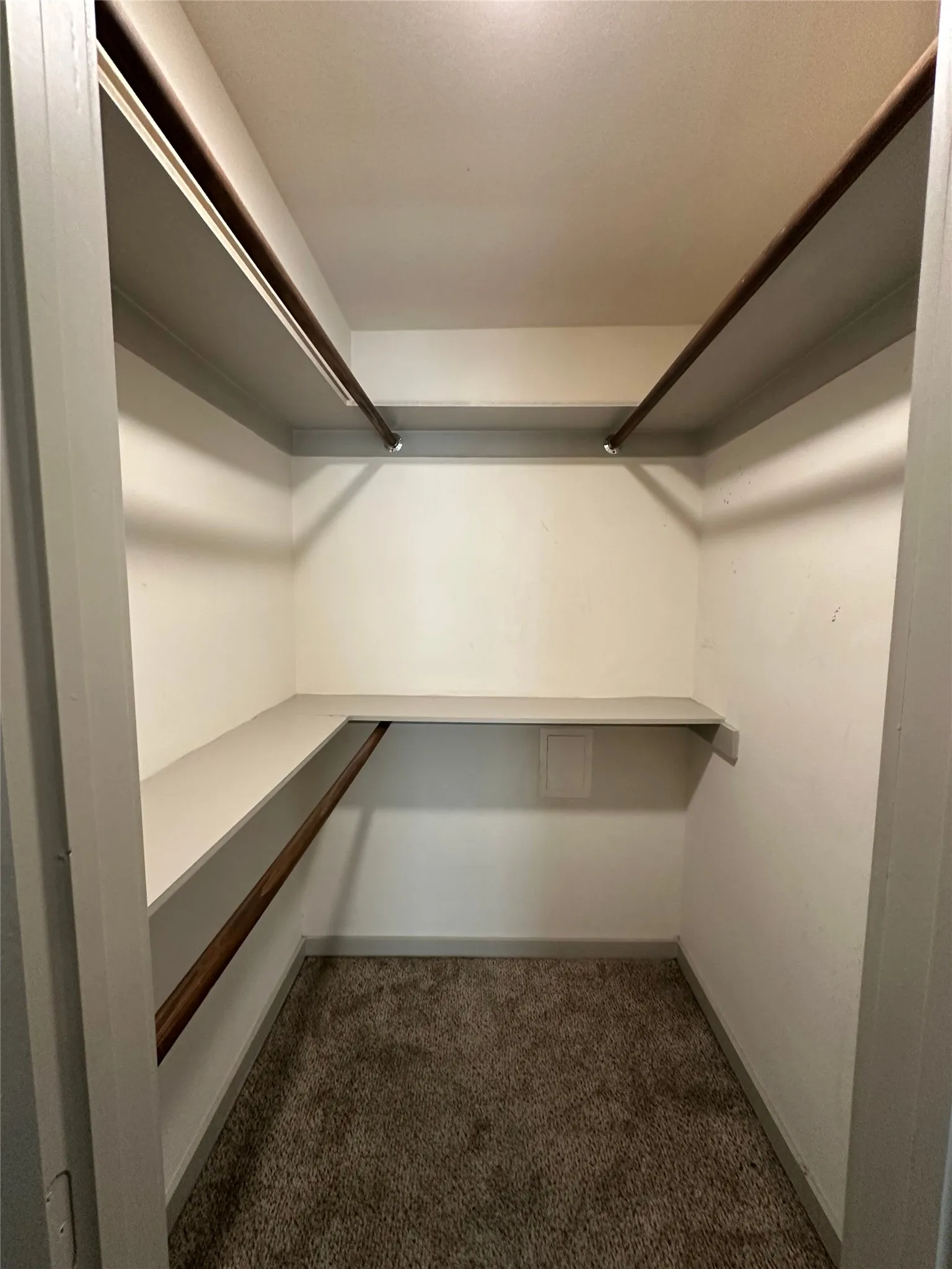 Walk-in closet featuring carpet flooring, built-in shelving, and two clothing rods