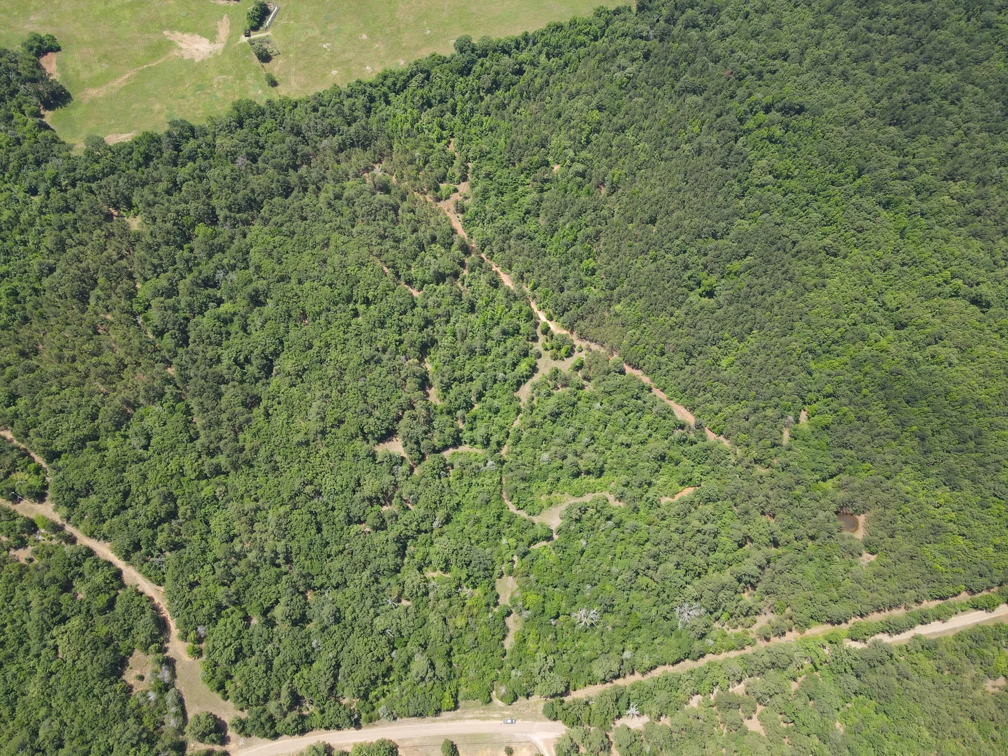 Unimproved Land For Sale in Van Zandt County , TBD 35 +/- AC VZ County Road 4814, Ben Wheeler, Texas 75754, 0, 0, Garage spaces, 0 Sqft, built in 0, mls#21300513, Real Estate Agent in Ben Wheeler, Homes For Sale in Van Zandt county, Homes For Sale in Ben Wheeler, Realtor in Ben Wheeler Texas, Real Estate Brokerage Independent Realty Texas, Luminita Cordes Realtor