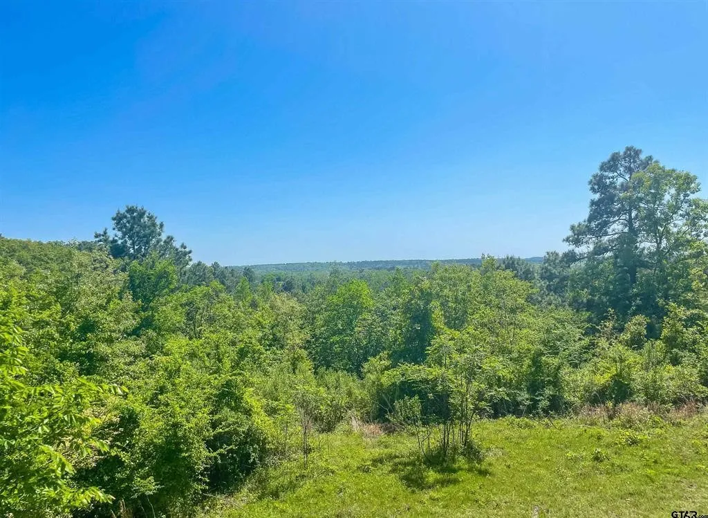 Unimproved Land For Sale in Van Zandt County , TBD 35 +/- AC VZ County Road 4814, Ben Wheeler, Texas 75754, 0, 0, Garage spaces, 0 Sqft, built in 0, mls#21300513, Real Estate Agent in Ben Wheeler, Homes For Sale in Van Zandt county, Homes For Sale in Ben Wheeler, Realtor in Ben Wheeler Texas, Real Estate Brokerage Independent Realty Texas, Luminita Cordes Realtor