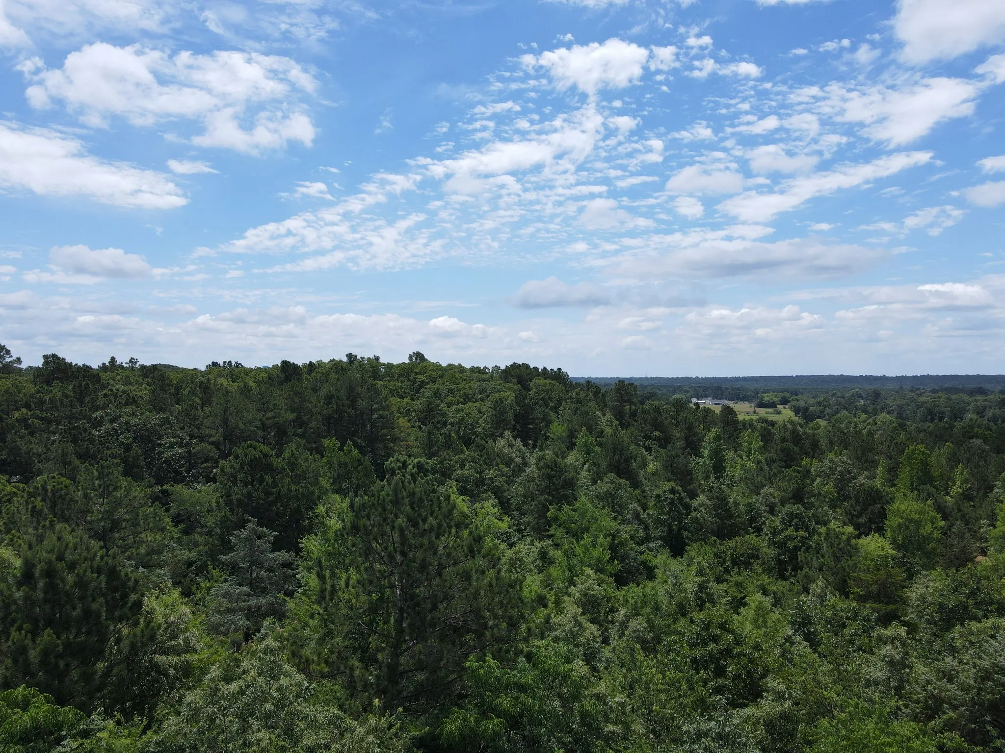 Unimproved Land For Sale in Van Zandt County , TBD 35 +/- AC VZ County Road 4814, Ben Wheeler, Texas 75754, 0, 0, Garage spaces, 0 Sqft, built in 0, mls#21300513, Real Estate Agent in Ben Wheeler, Homes For Sale in Van Zandt county, Homes For Sale in Ben Wheeler, Realtor in Ben Wheeler Texas, Real Estate Brokerage Independent Realty Texas, Luminita Cordes Realtor