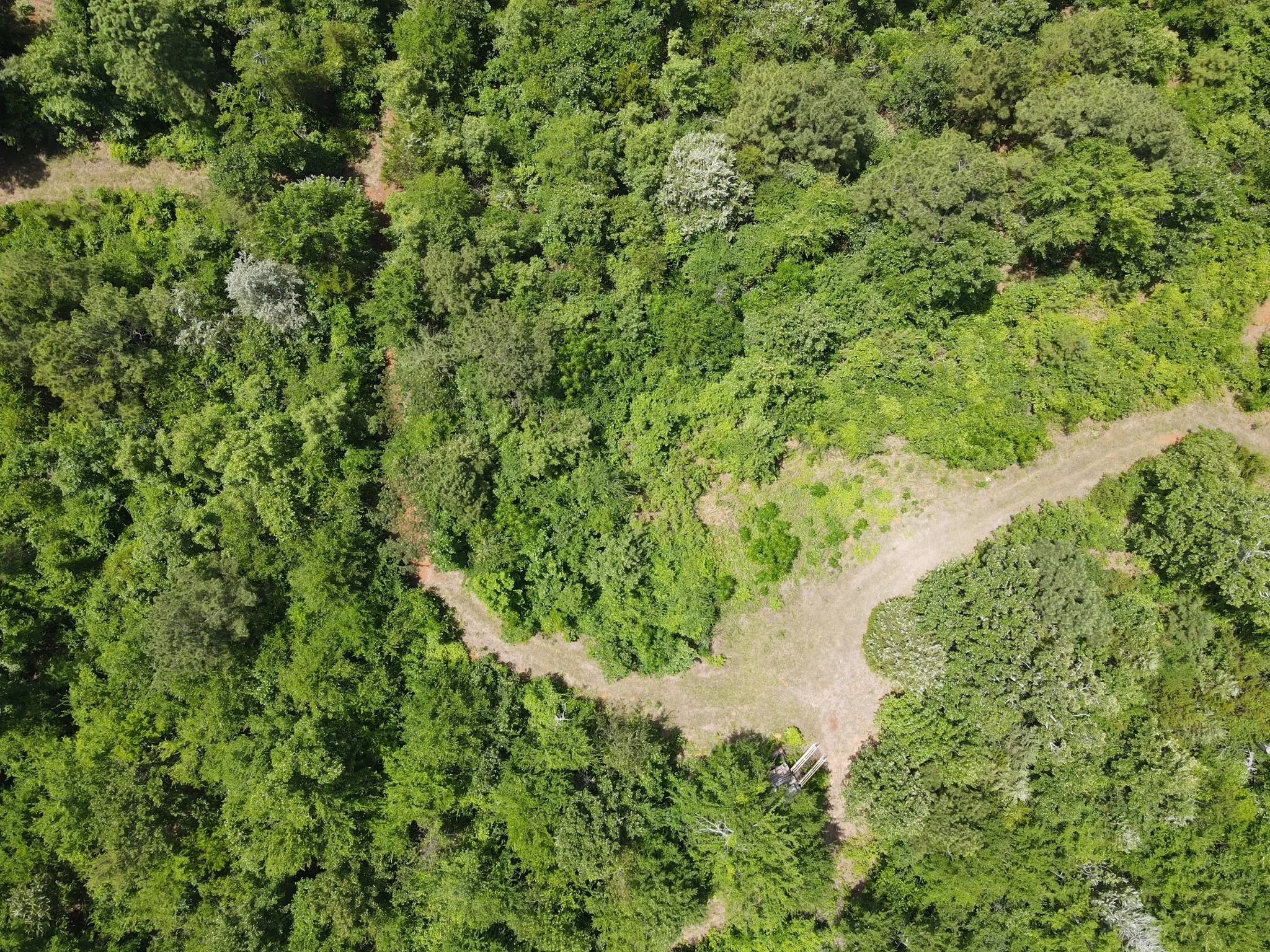 Unimproved Land For Sale in Van Zandt County , TBD 35 +/- AC VZ County Road 4814, Ben Wheeler, Texas 75754, 0, 0, Garage spaces, 0 Sqft, built in 0, mls#21300513, Real Estate Agent in Ben Wheeler, Homes For Sale in Van Zandt county, Homes For Sale in Ben Wheeler, Realtor in Ben Wheeler Texas, Real Estate Brokerage Independent Realty Texas, Luminita Cordes Realtor