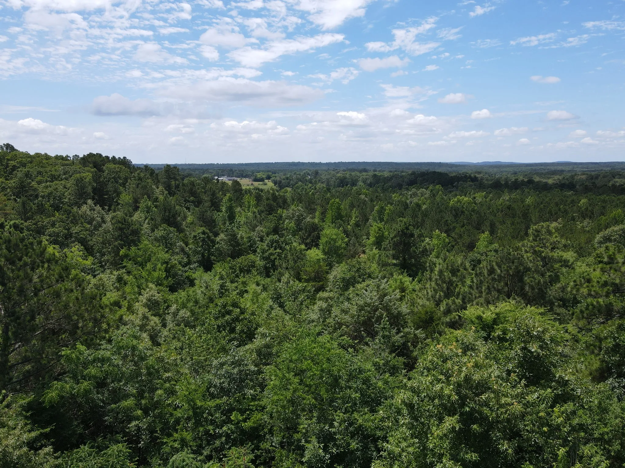 Unimproved Land For Sale in Van Zandt County , TBD 35 +/- AC VZ County Road 4814, Ben Wheeler, Texas 75754, 0, 0, Garage spaces, 0 Sqft, built in 0, mls#21300513, Real Estate Agent in Ben Wheeler, Homes For Sale in Van Zandt county, Homes For Sale in Ben Wheeler, Realtor in Ben Wheeler Texas, Real Estate Brokerage Independent Realty Texas, Luminita Cordes Realtor