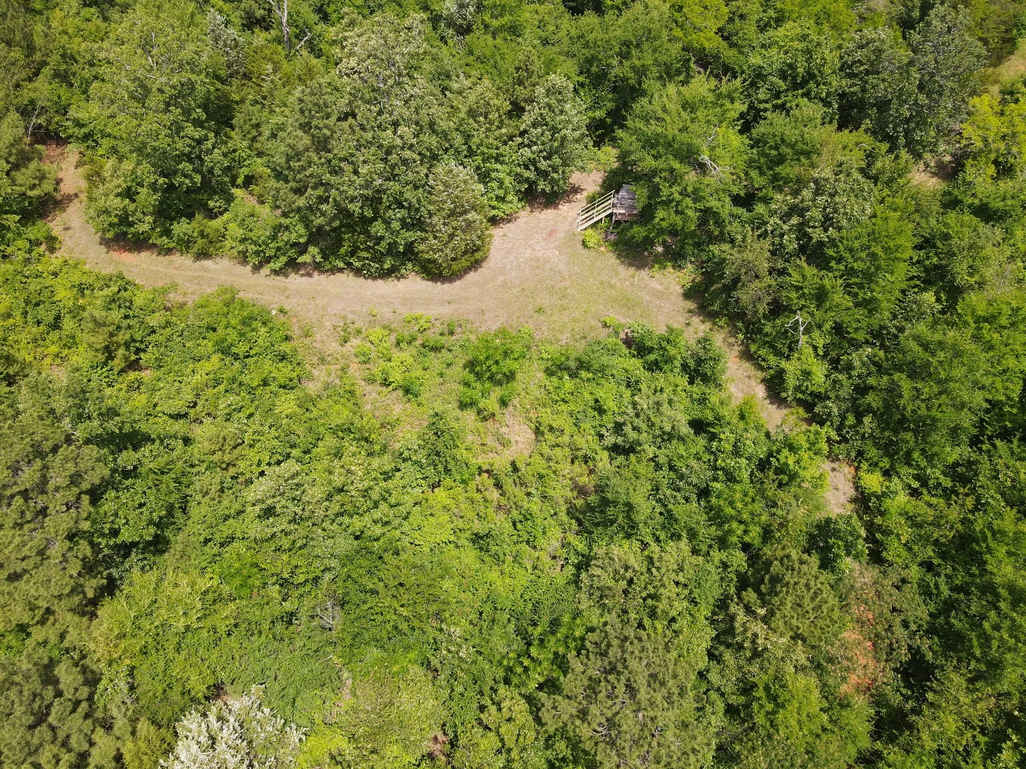 Unimproved Land For Sale in Van Zandt County , TBD 35 +/- AC VZ County Road 4814, Ben Wheeler, Texas 75754, 0, 0, Garage spaces, 0 Sqft, built in 0, mls#21300513, Real Estate Agent in Ben Wheeler, Homes For Sale in Van Zandt county, Homes For Sale in Ben Wheeler, Realtor in Ben Wheeler Texas, Real Estate Brokerage Independent Realty Texas, Luminita Cordes Realtor