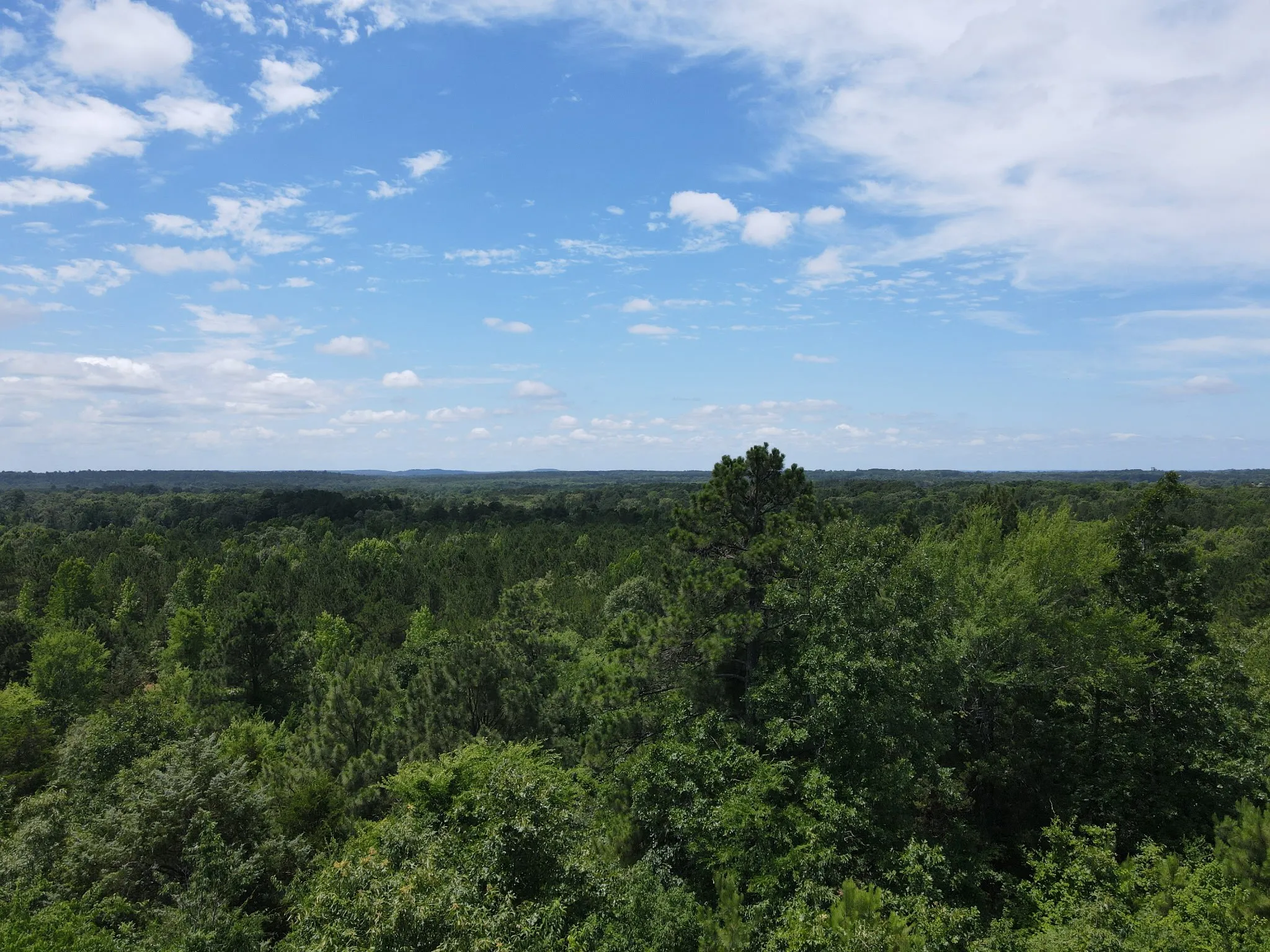 Unimproved Land For Sale in Van Zandt County , TBD 35 +/- AC VZ County Road 4814, Ben Wheeler, Texas 75754, 0, 0, Garage spaces, 0 Sqft, built in 0, mls#21300513, Real Estate Agent in Ben Wheeler, Homes For Sale in Van Zandt county, Homes For Sale in Ben Wheeler, Realtor in Ben Wheeler Texas, Real Estate Brokerage Independent Realty Texas, Luminita Cordes Realtor