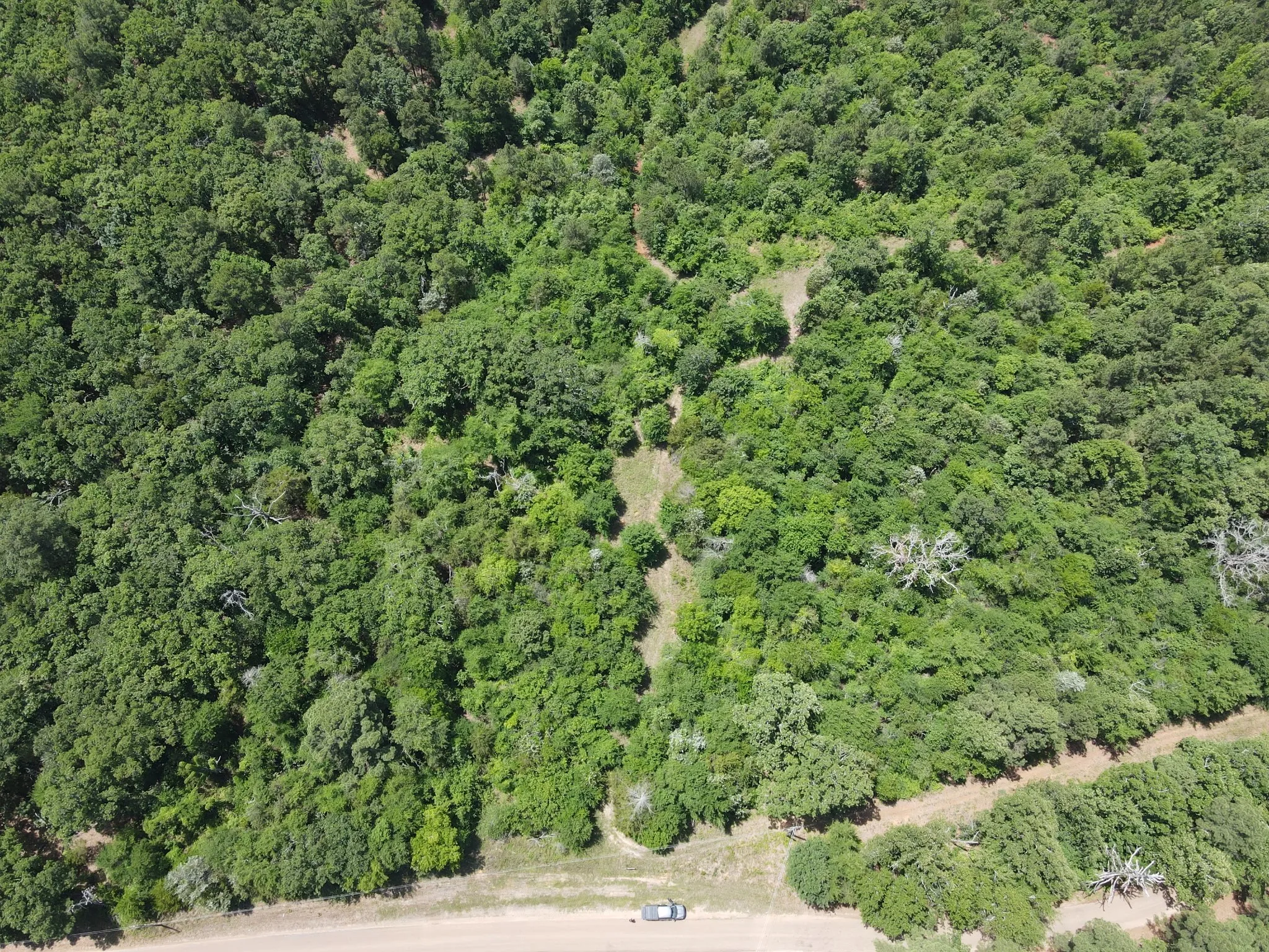 Unimproved Land For Sale in Van Zandt County , TBD 35 +/- AC VZ County Road 4814, Ben Wheeler, Texas 75754, 0, 0, Garage spaces, 0 Sqft, built in 0, mls#21300513, Real Estate Agent in Ben Wheeler, Homes For Sale in Van Zandt county, Homes For Sale in Ben Wheeler, Realtor in Ben Wheeler Texas, Real Estate Brokerage Independent Realty Texas, Luminita Cordes Realtor