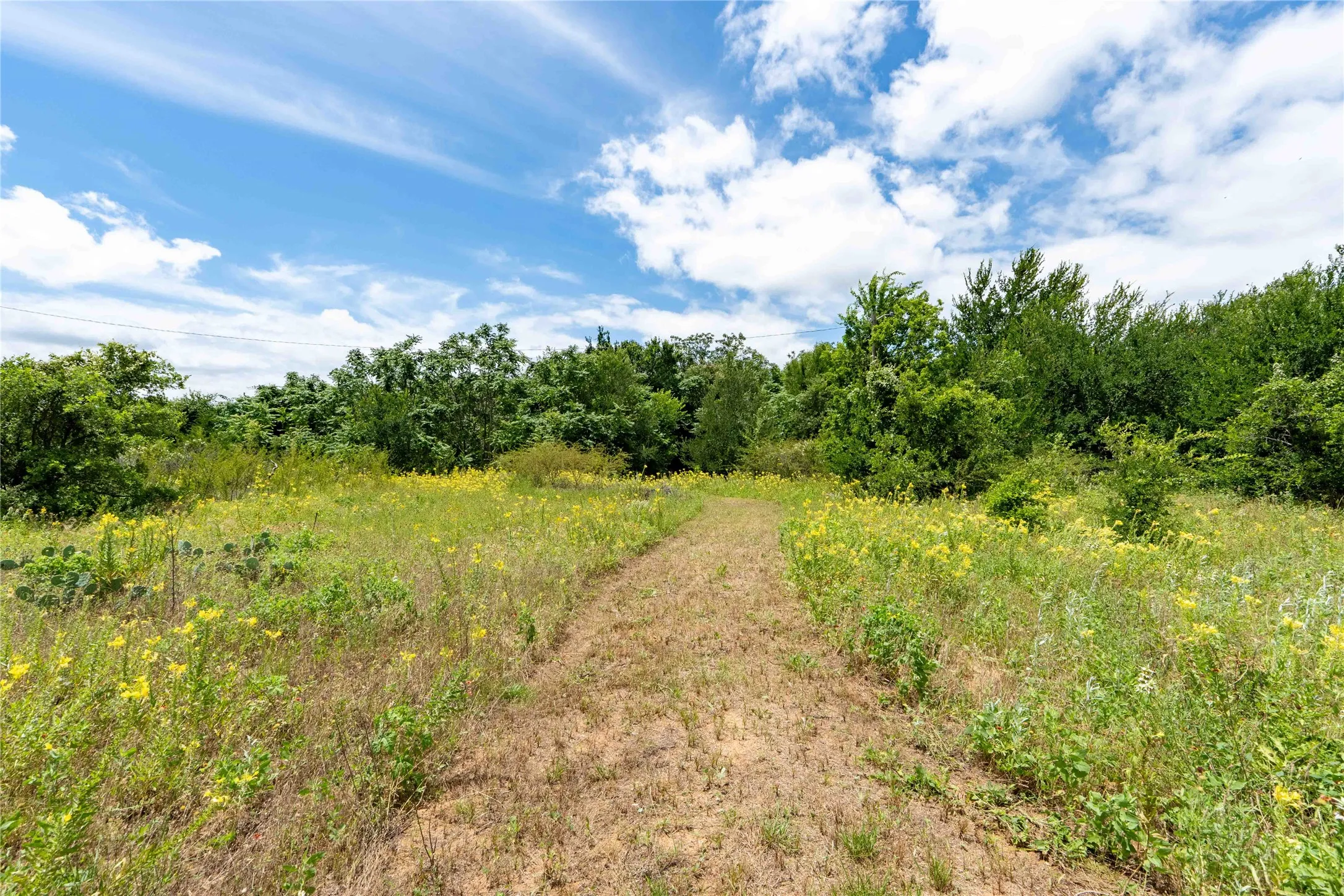 Unimproved Land For Sale in Wise County , TBD 3rd Street, Bridgeport, Texas 76426, 0, 0, Garage spaces, 0 Sqft, built in 0, Price $499,999, mls#21300560, Real Estate Agent in Bridgeport, Homes For Sale in Wise county, Homes For Sale in Bridgeport, Realtor in Bridgeport Texas, Real Estate Brokerage Independent Realty Texas, Luminita Cordes Realtor