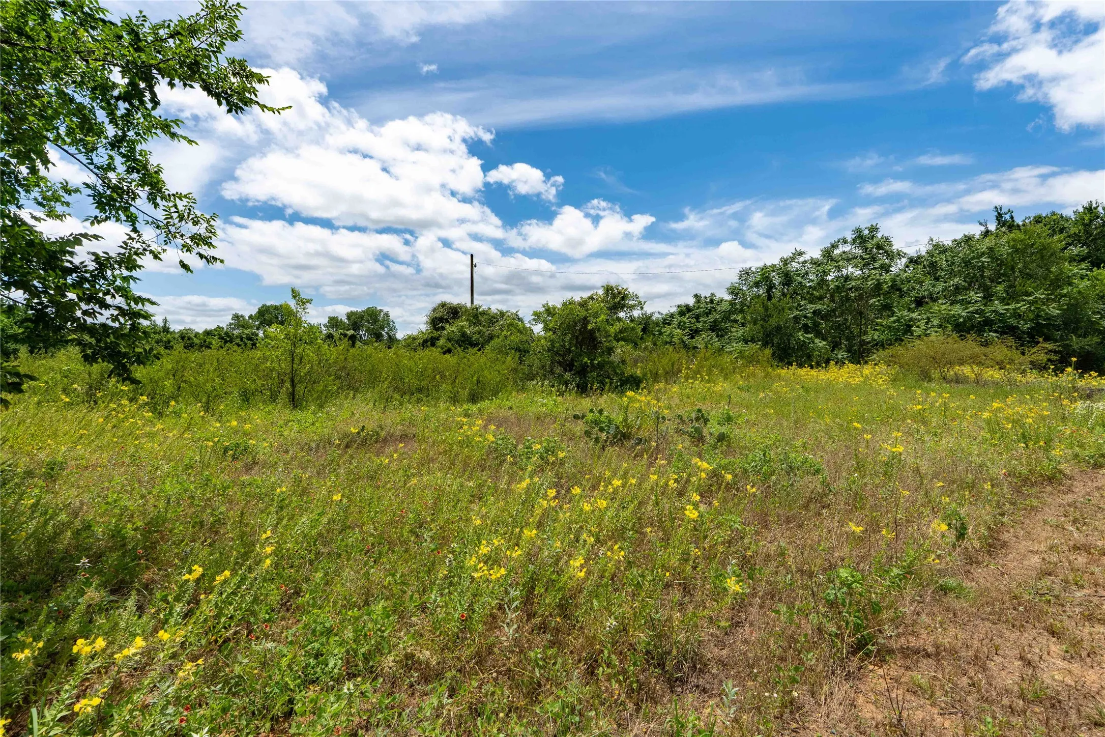 Unimproved Land For Sale in Wise County , TBD 3rd Street, Bridgeport, Texas 76426, 0, 0, Garage spaces, 0 Sqft, built in 0, Price $499,999, mls#21300560, Real Estate Agent in Bridgeport, Homes For Sale in Wise county, Homes For Sale in Bridgeport, Realtor in Bridgeport Texas, Real Estate Brokerage Independent Realty Texas, Luminita Cordes Realtor
