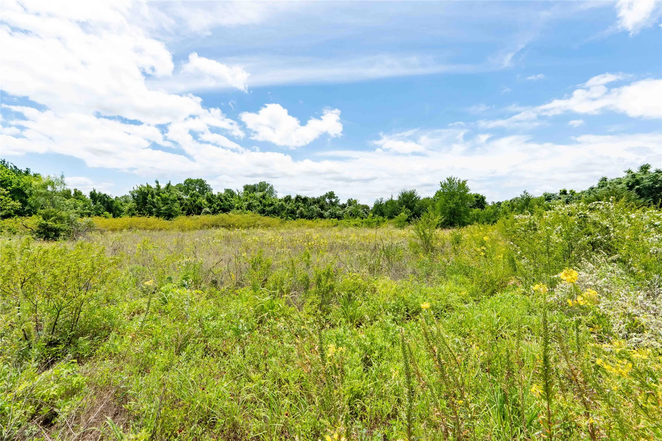 Unimproved Land For Sale in Wise County , TBD 3rd Street, Bridgeport, Texas 76426, 0, 0, Garage spaces, 0 Sqft, built in 0, Price $499,999, mls#21300560, Real Estate Agent in Bridgeport, Homes For Sale in Wise county, Homes For Sale in Bridgeport, Realtor in Bridgeport Texas, Real Estate Brokerage Independent Realty Texas, Luminita Cordes Realtor